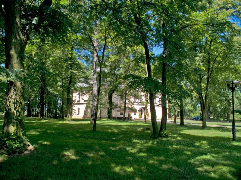 Palac w Rybnej view 2