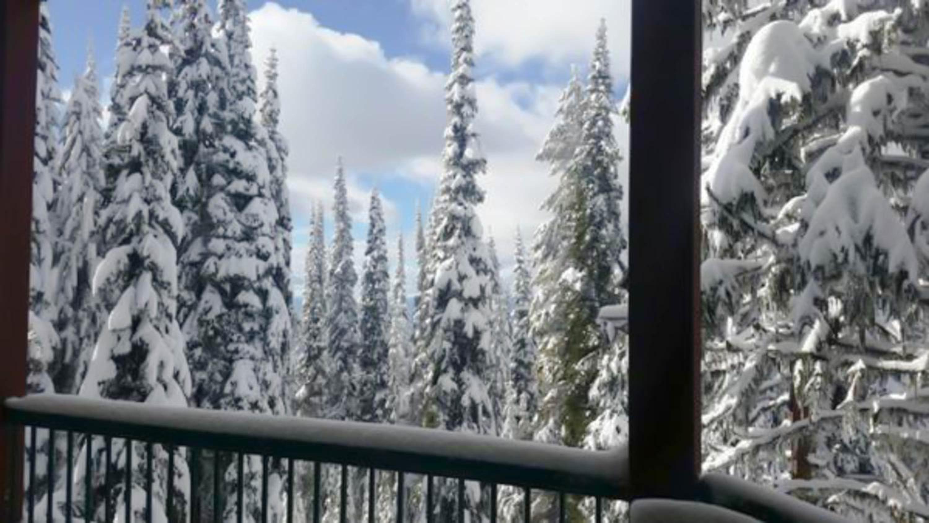 Vacation Homes by The Bulldog- Berker's Suite A view 4
