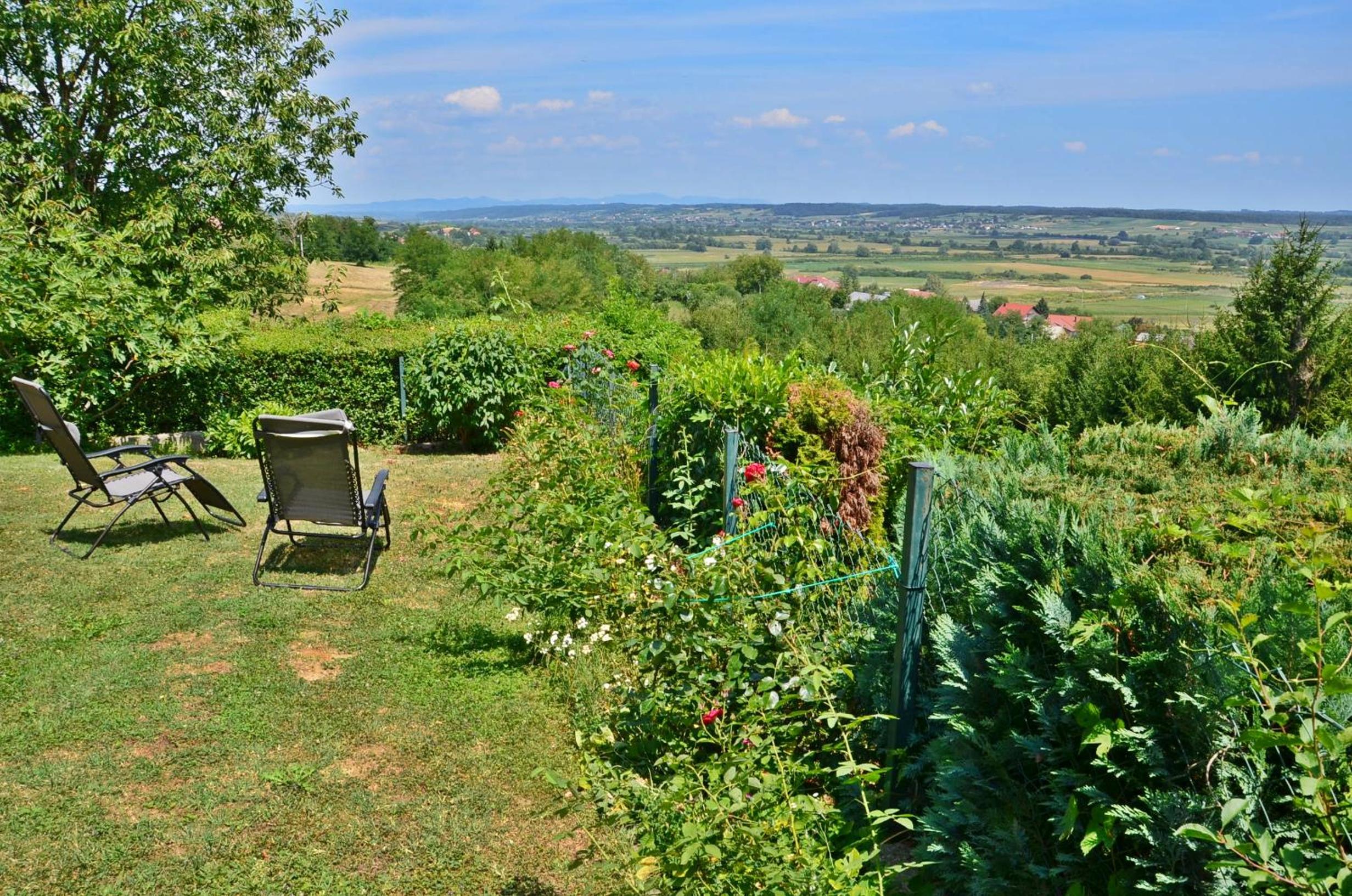 Green Zelina view 2