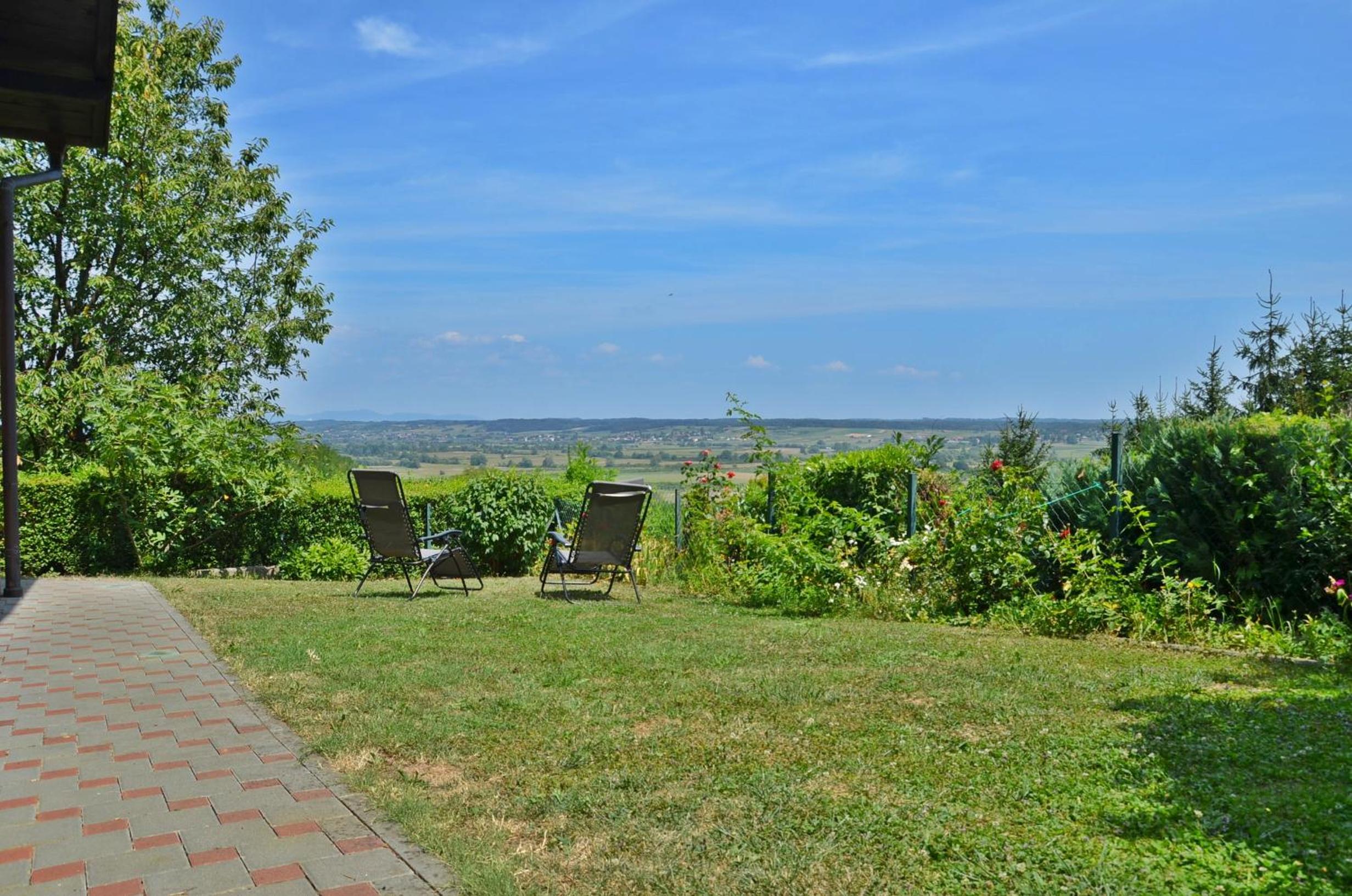 Green Zelina view 5