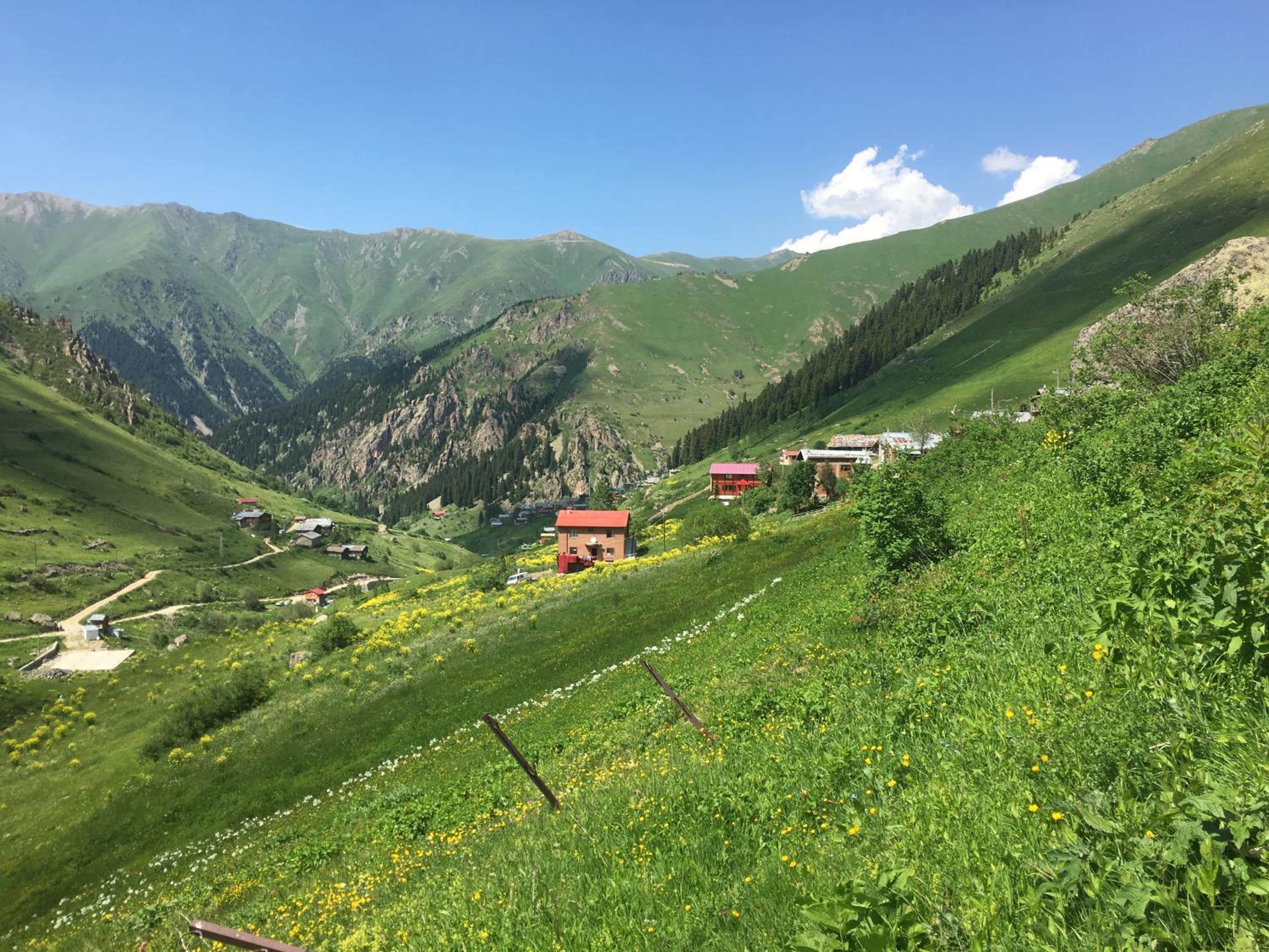 Yüce Suite