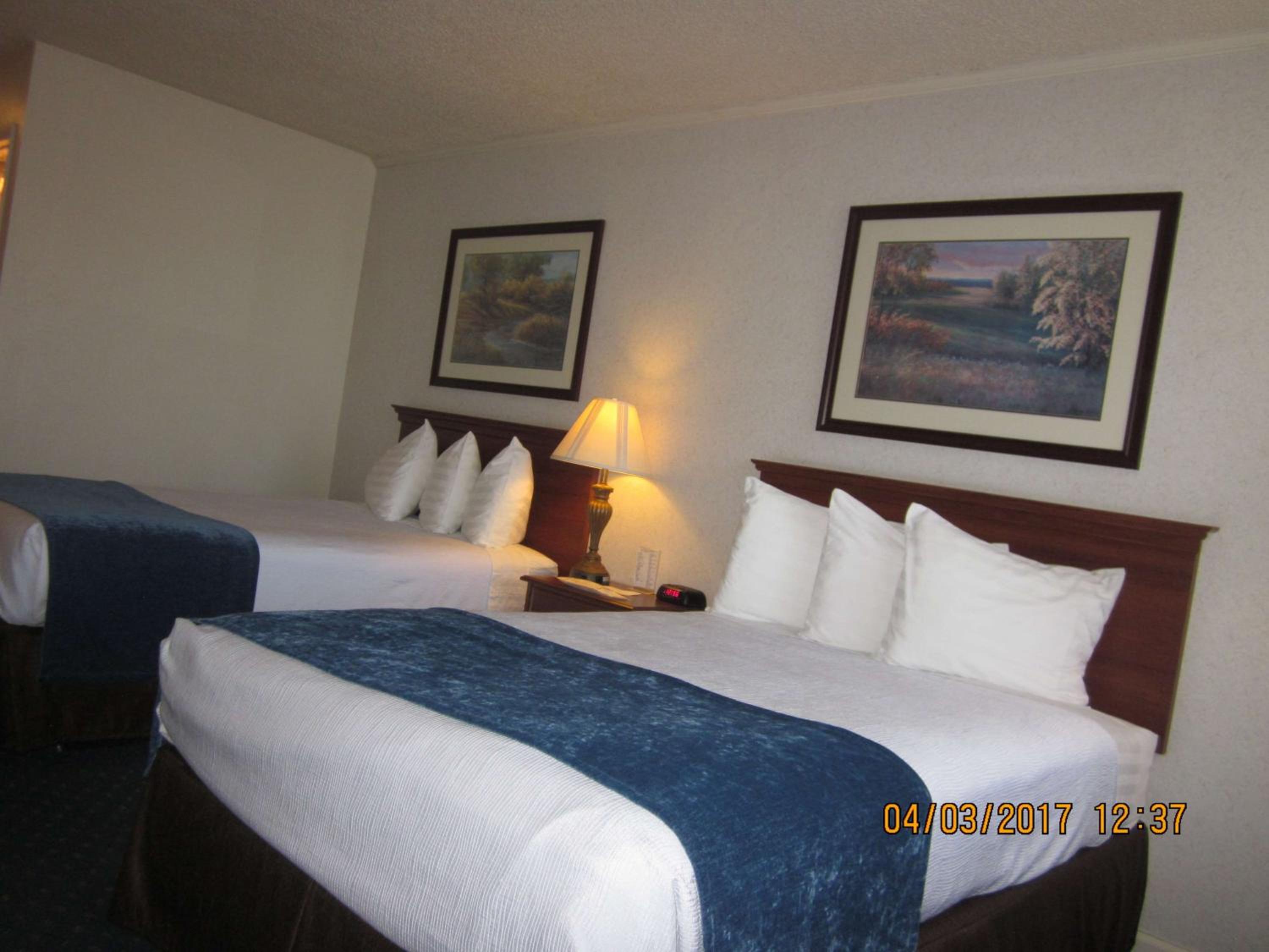 Trailside Inn, Photo 10
