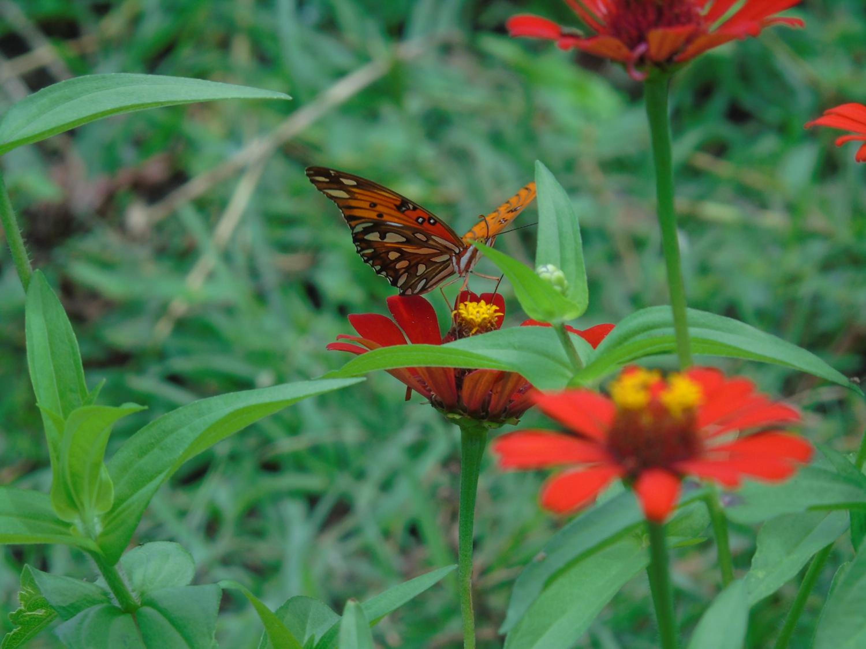 Photo 48