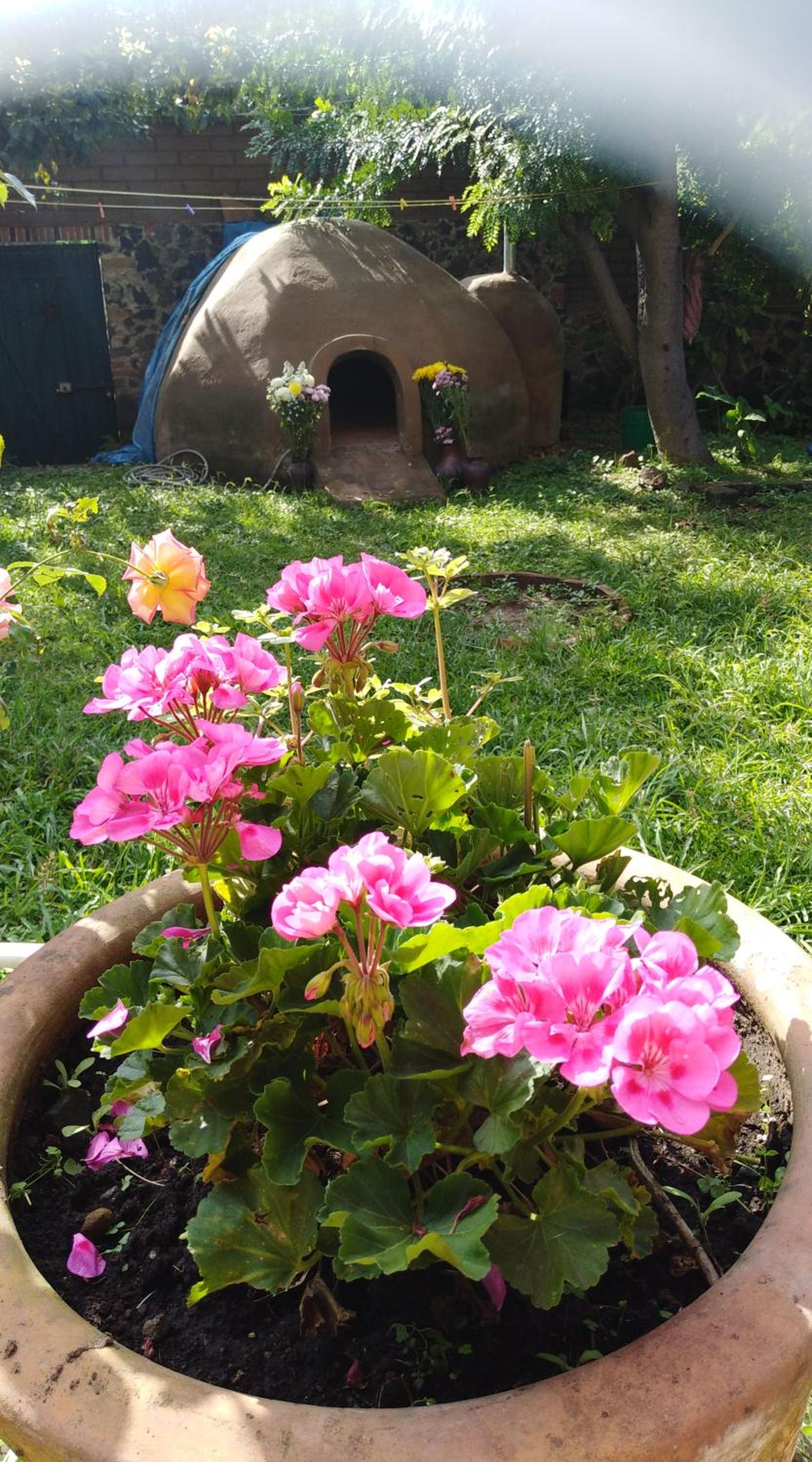 Ollin Calli Hostal-Temazcal view 4