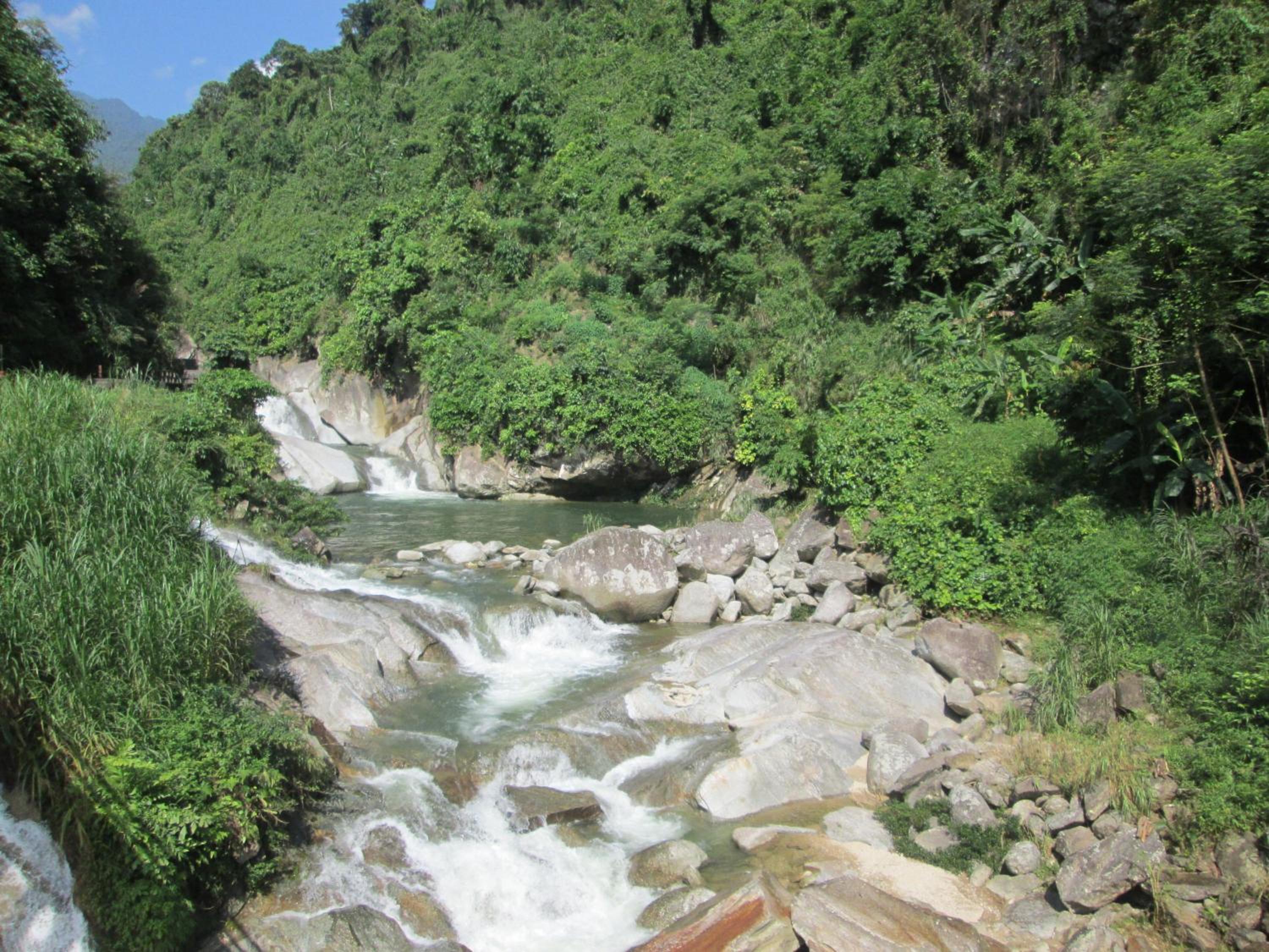 Photo 44