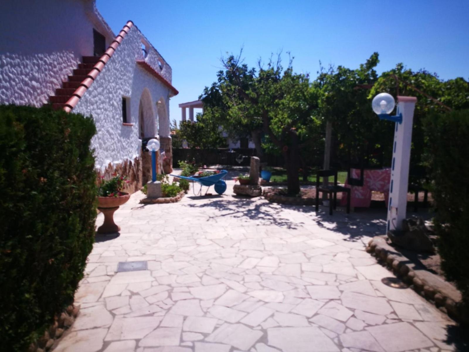Photo 21