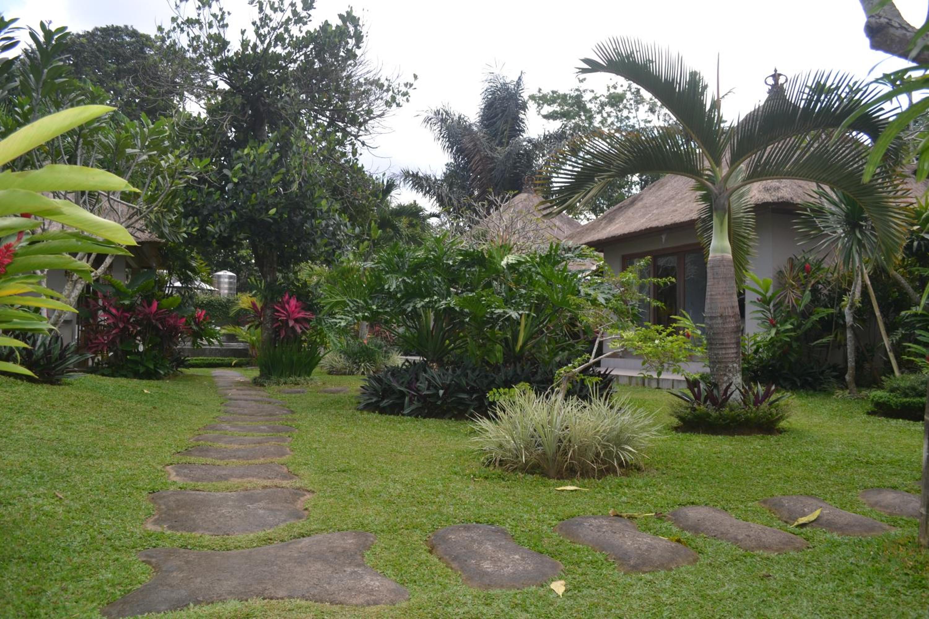 Suka's House Bed & Breakfast view 3