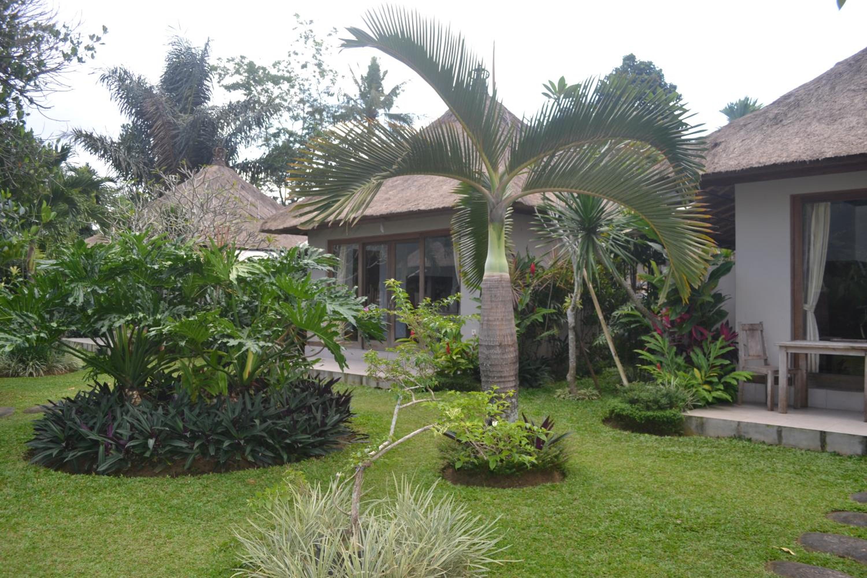 Suka's House Bed & Breakfast view 4