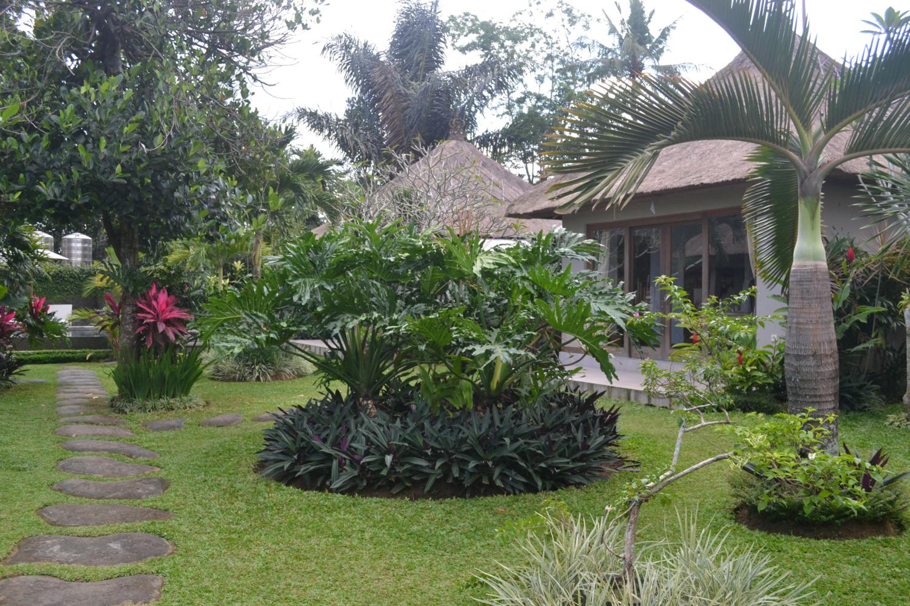 Suka's House Bed & Breakfast view 5