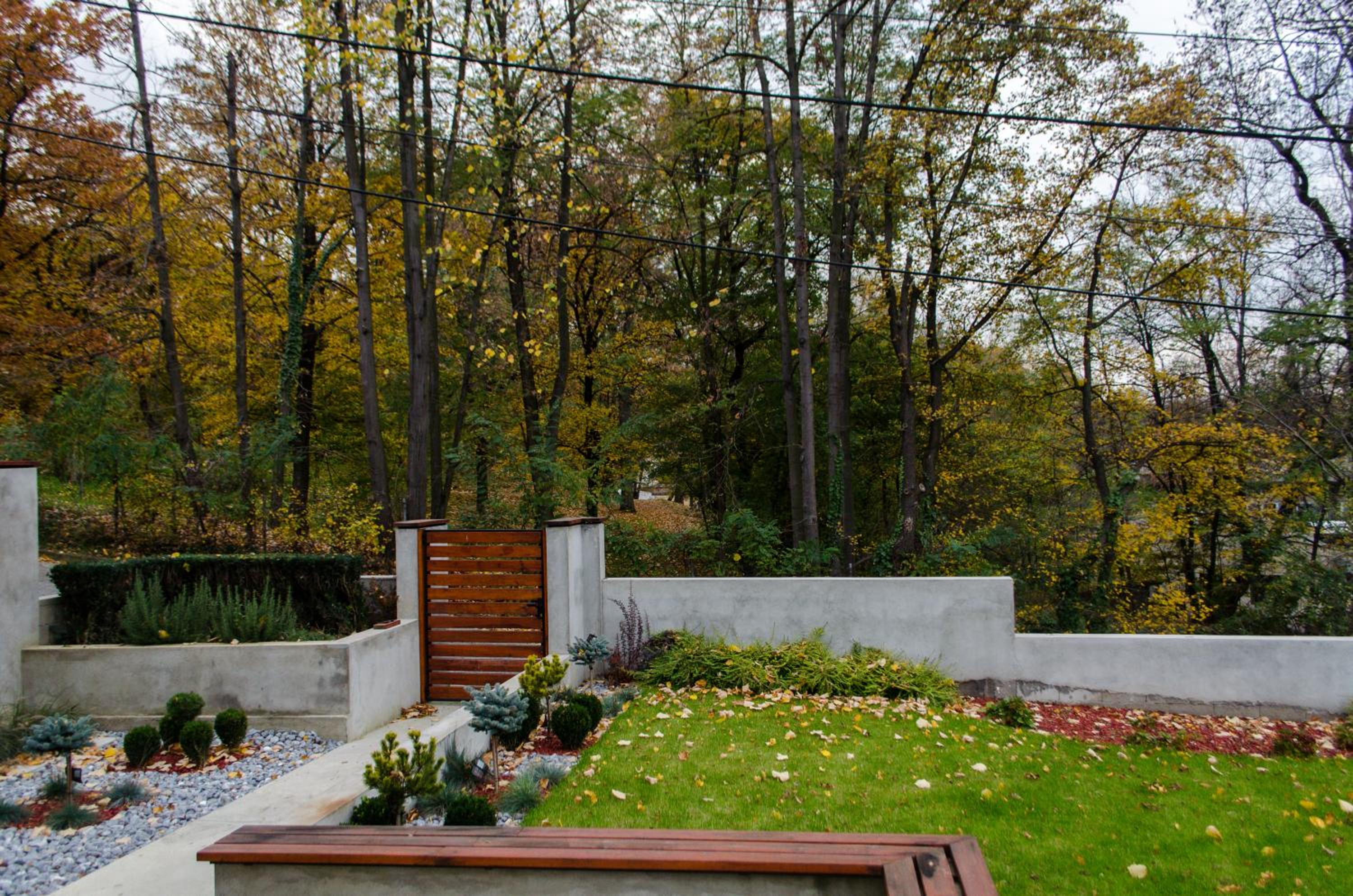 Photo 33