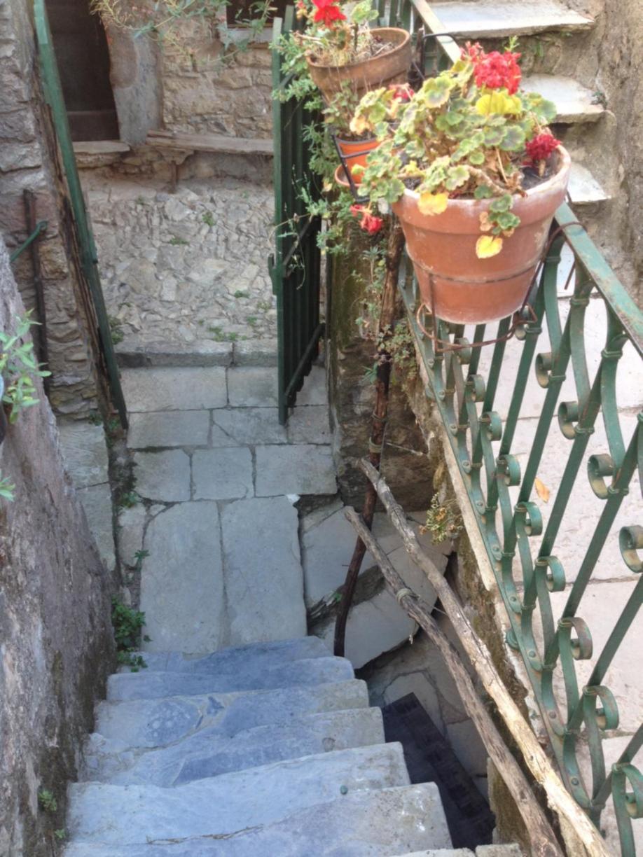 Photo 49