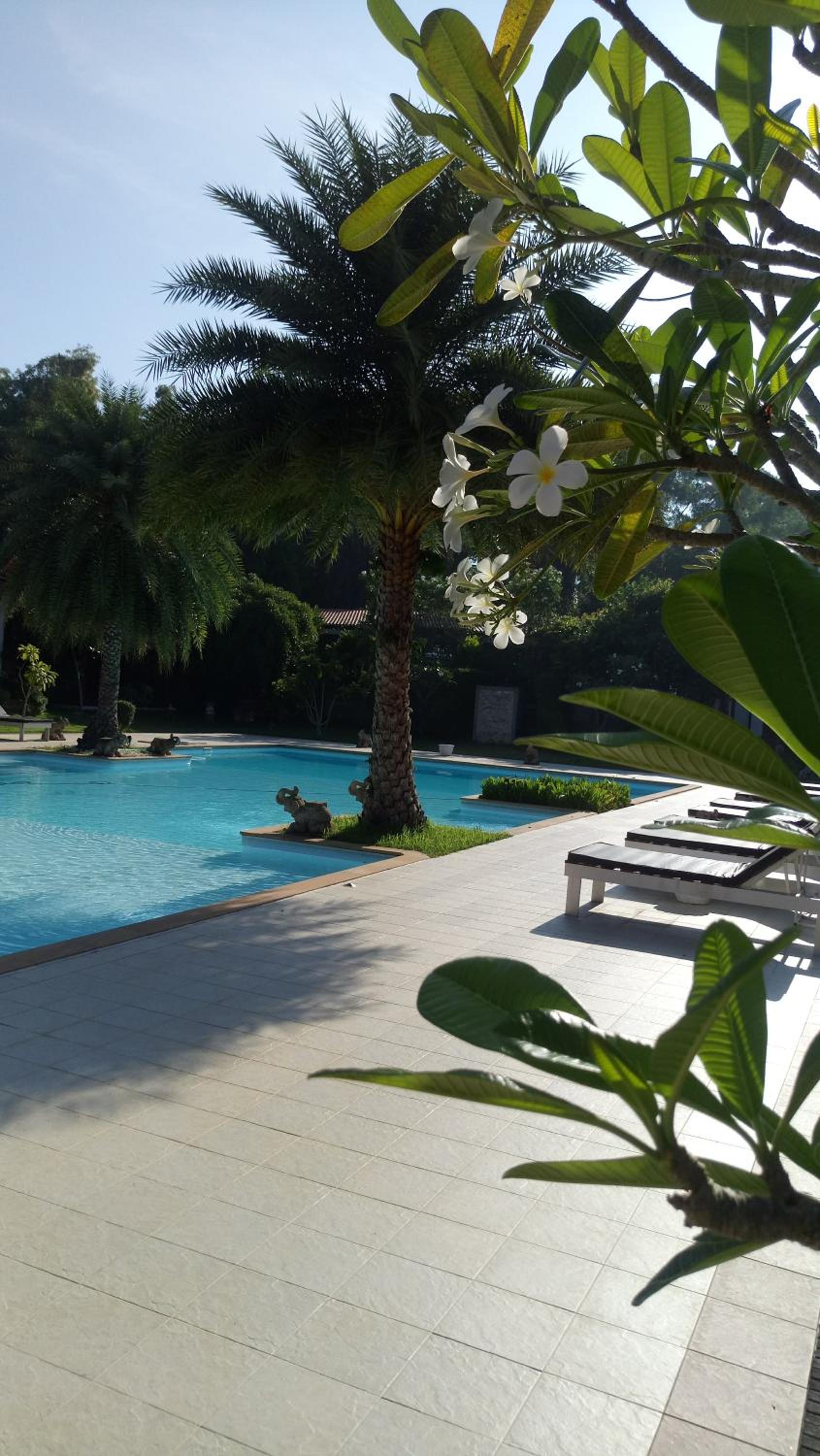 Armonia Village Resort and Spa