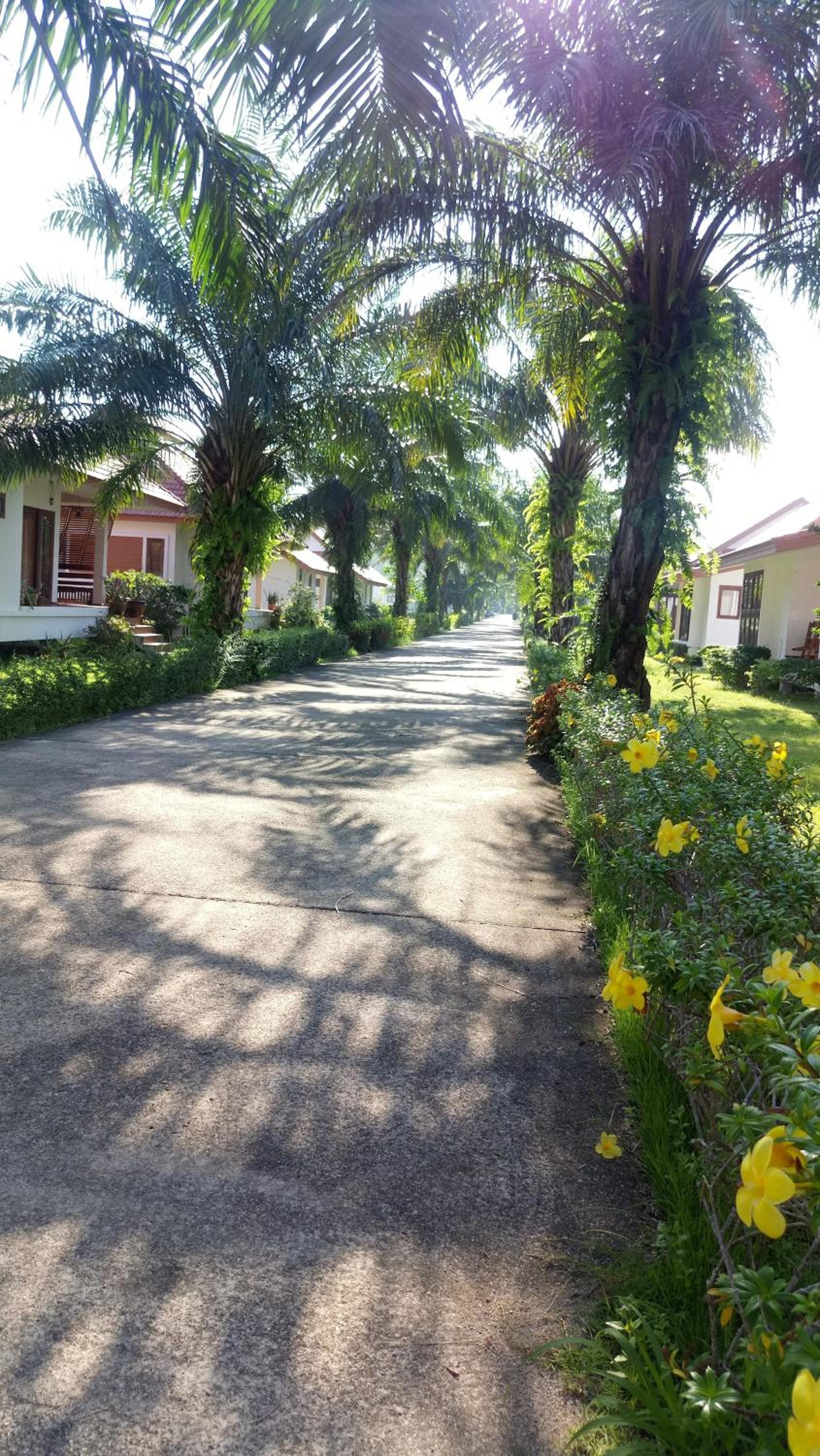 Armonia Village Resort and Spa