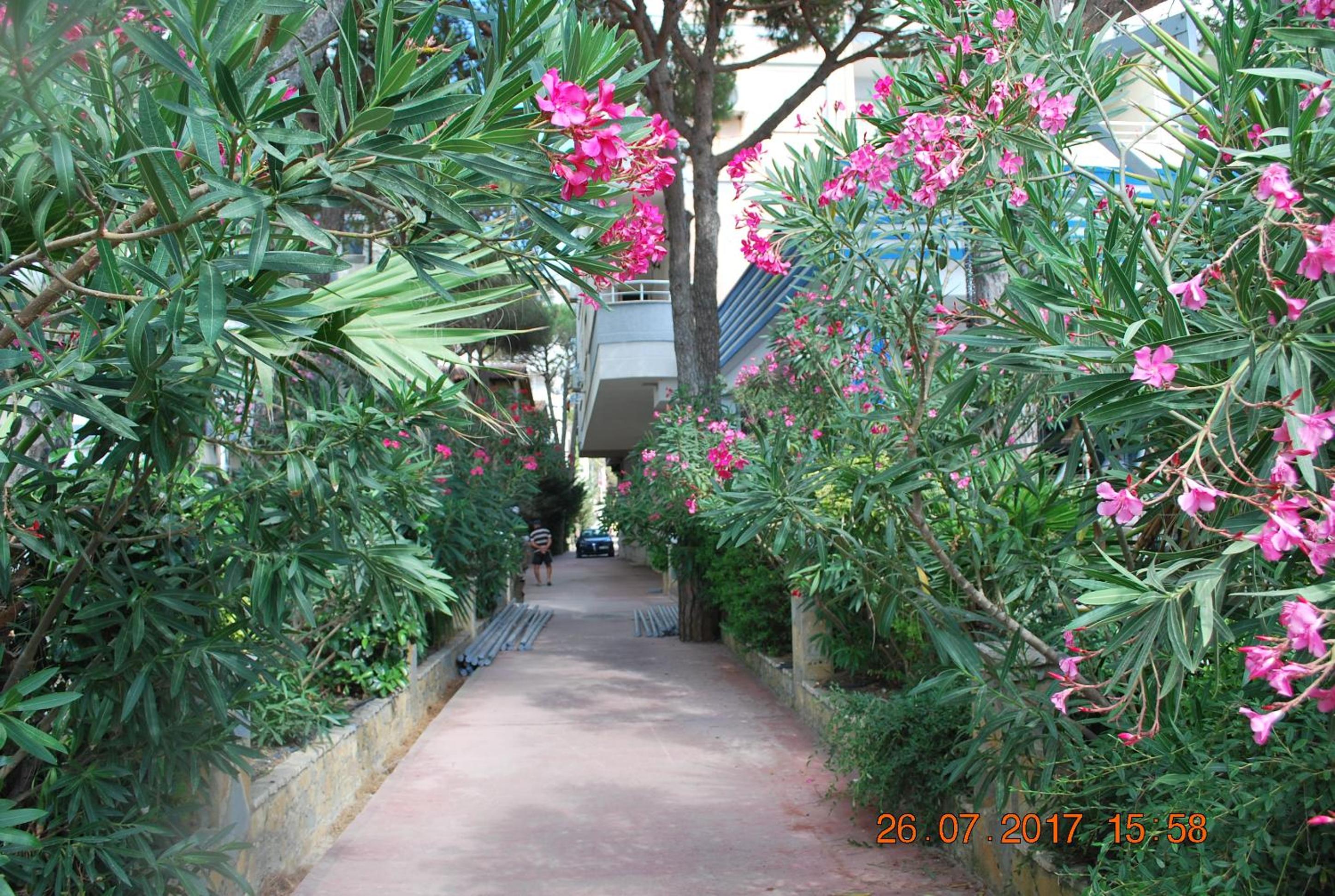 Fiona's Sea View Apartment