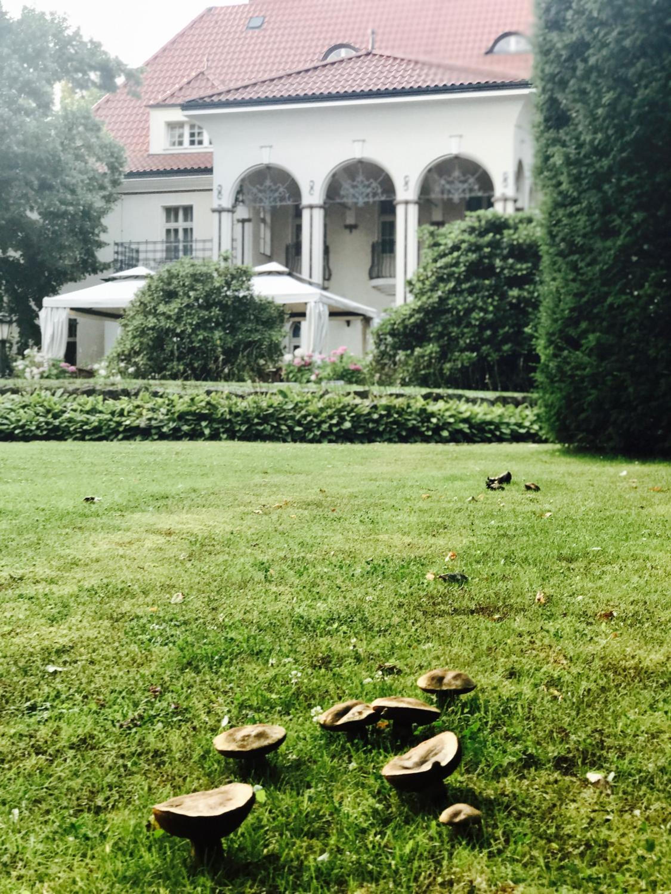 Photo 19