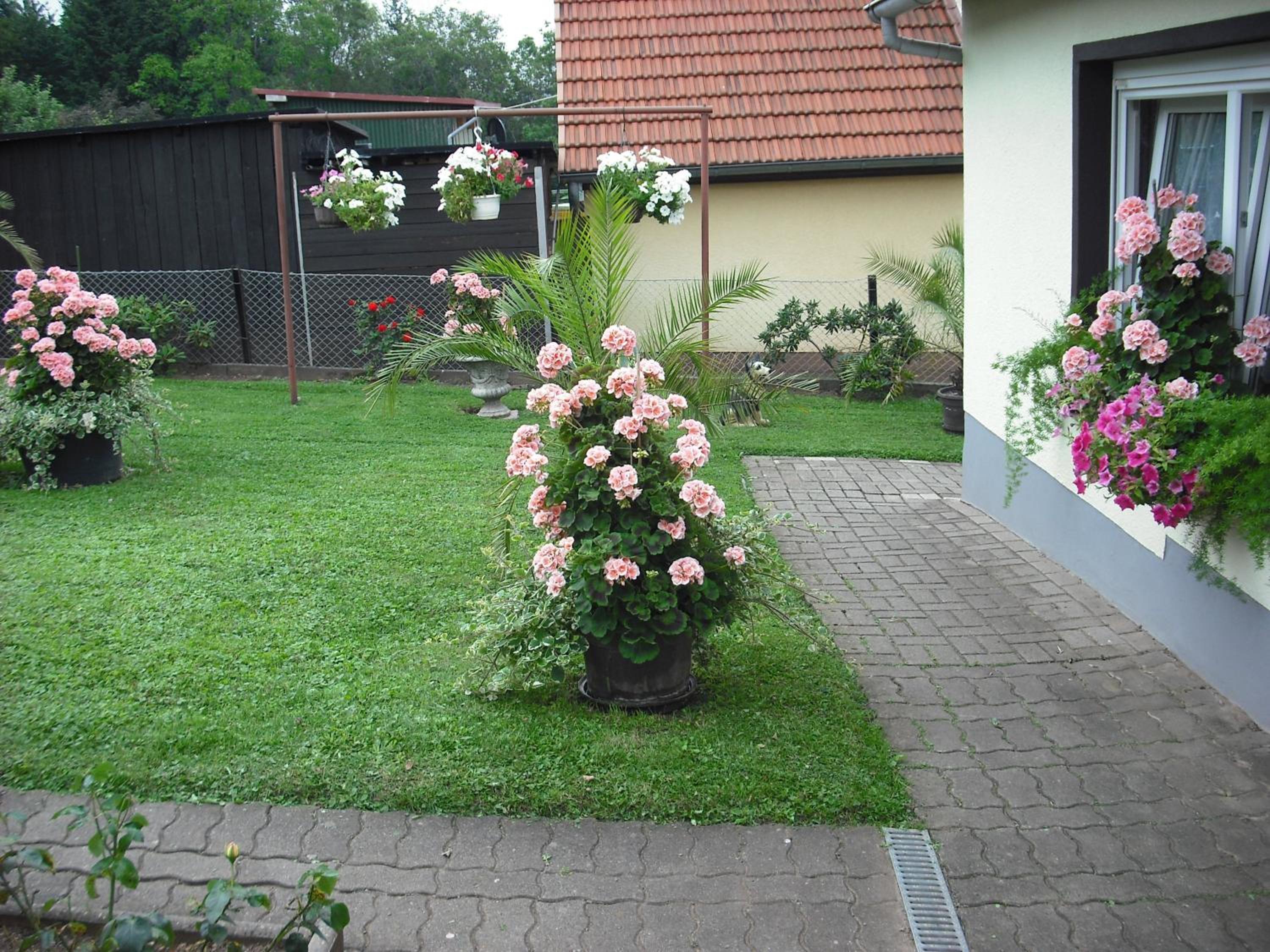 Pension Möhring