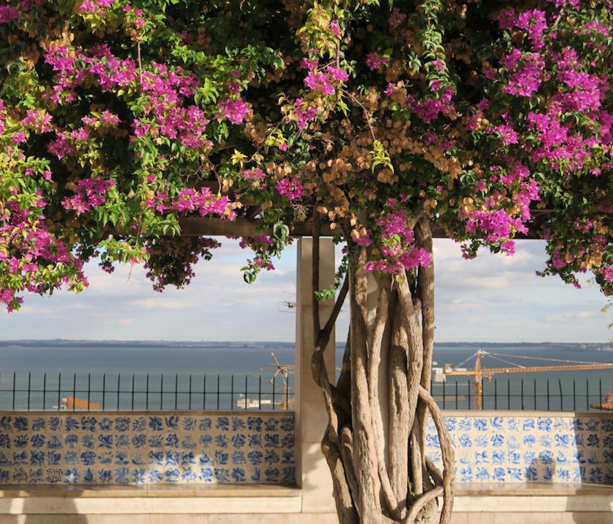 Cativos - Alfama Center District