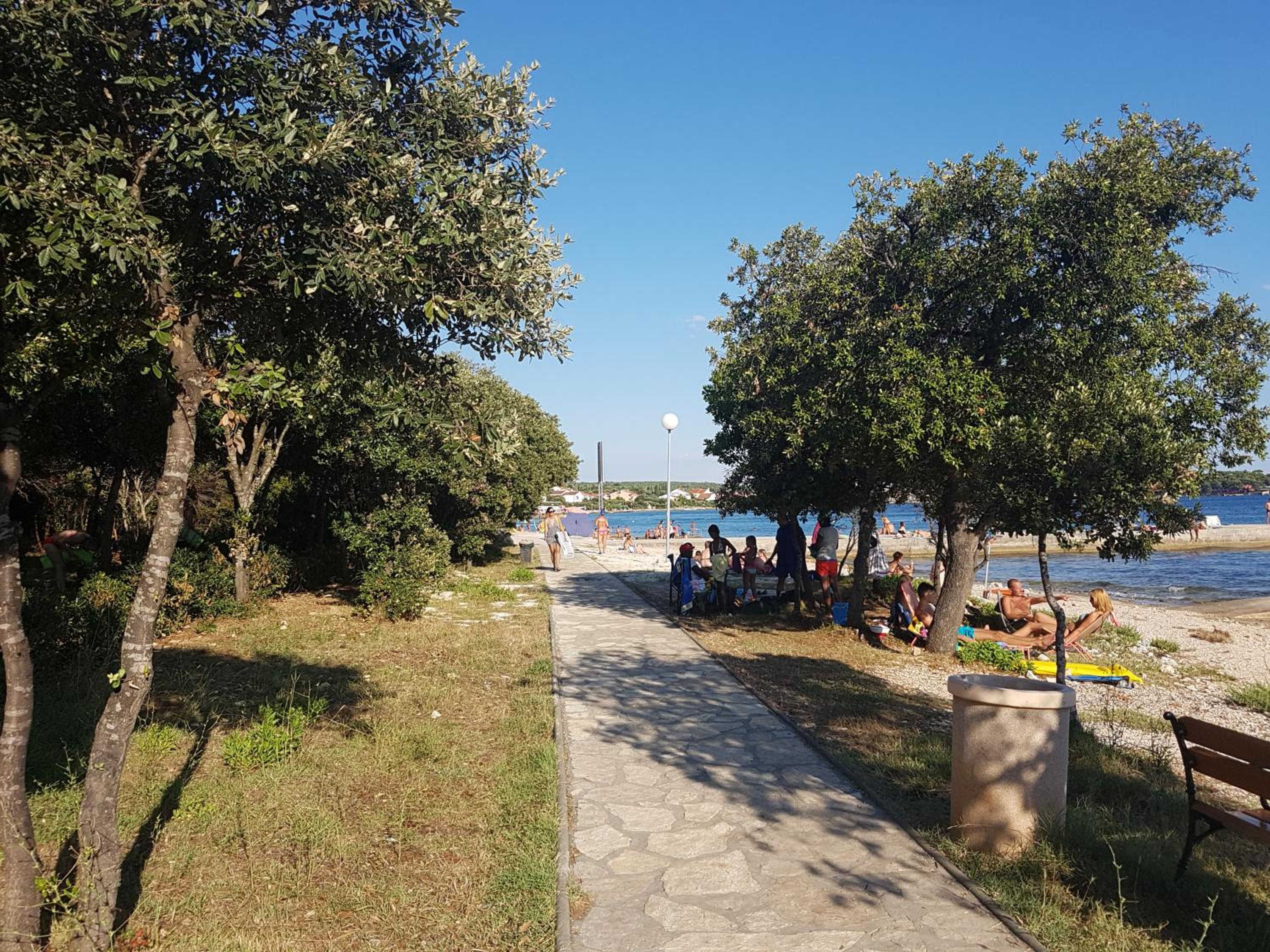 Photo 43