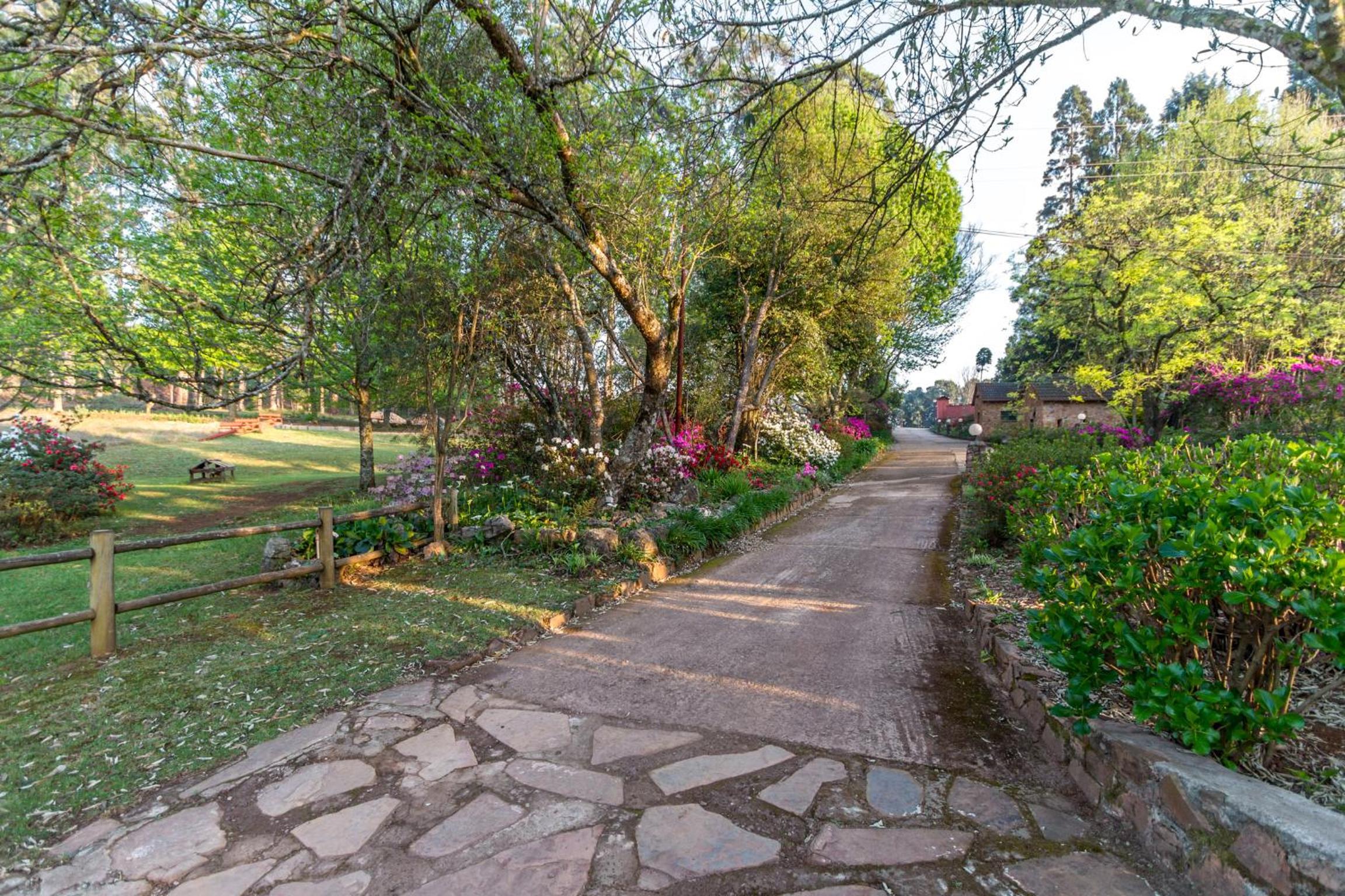 Photo 32