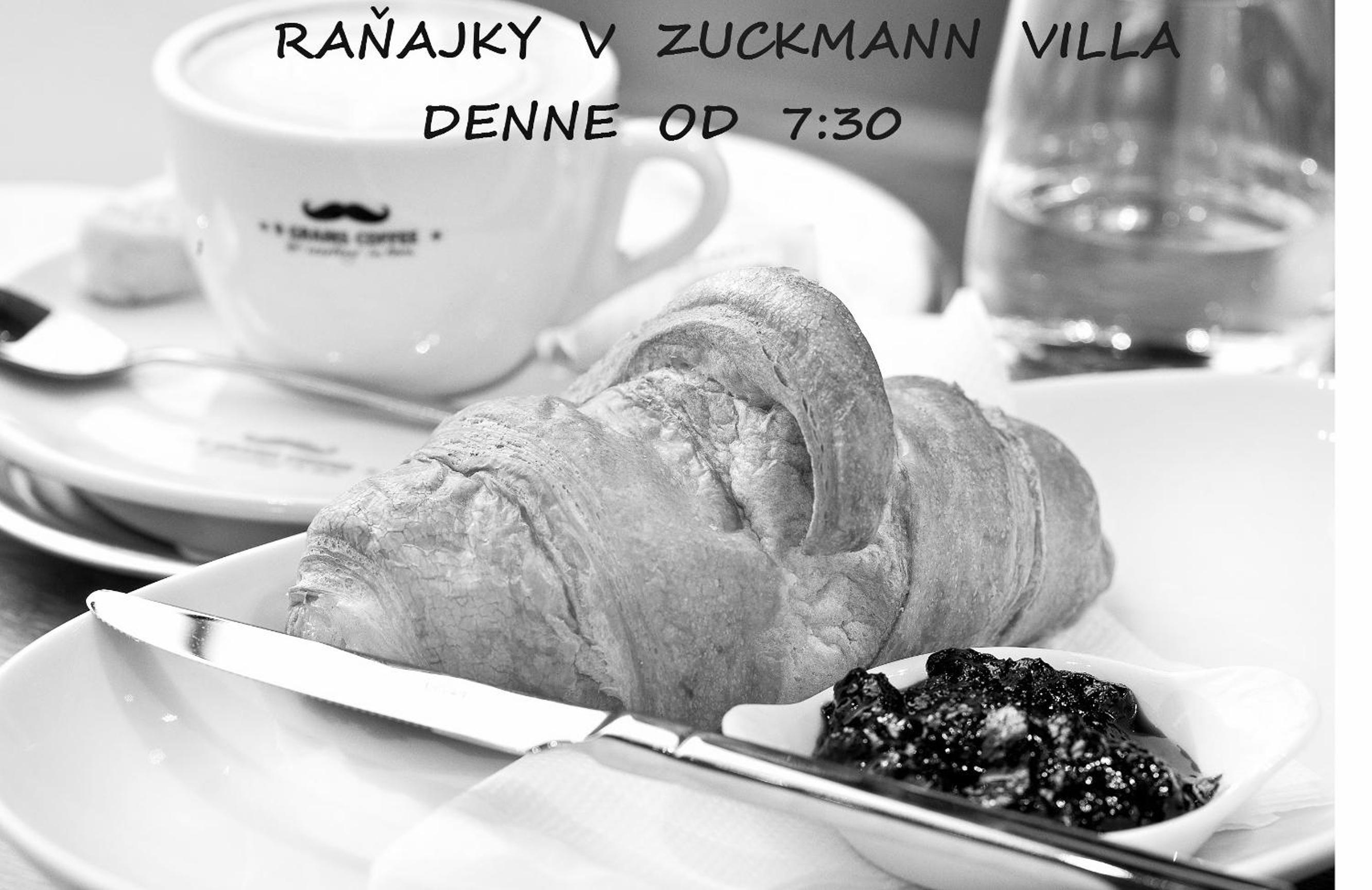 Zuckmann Villa