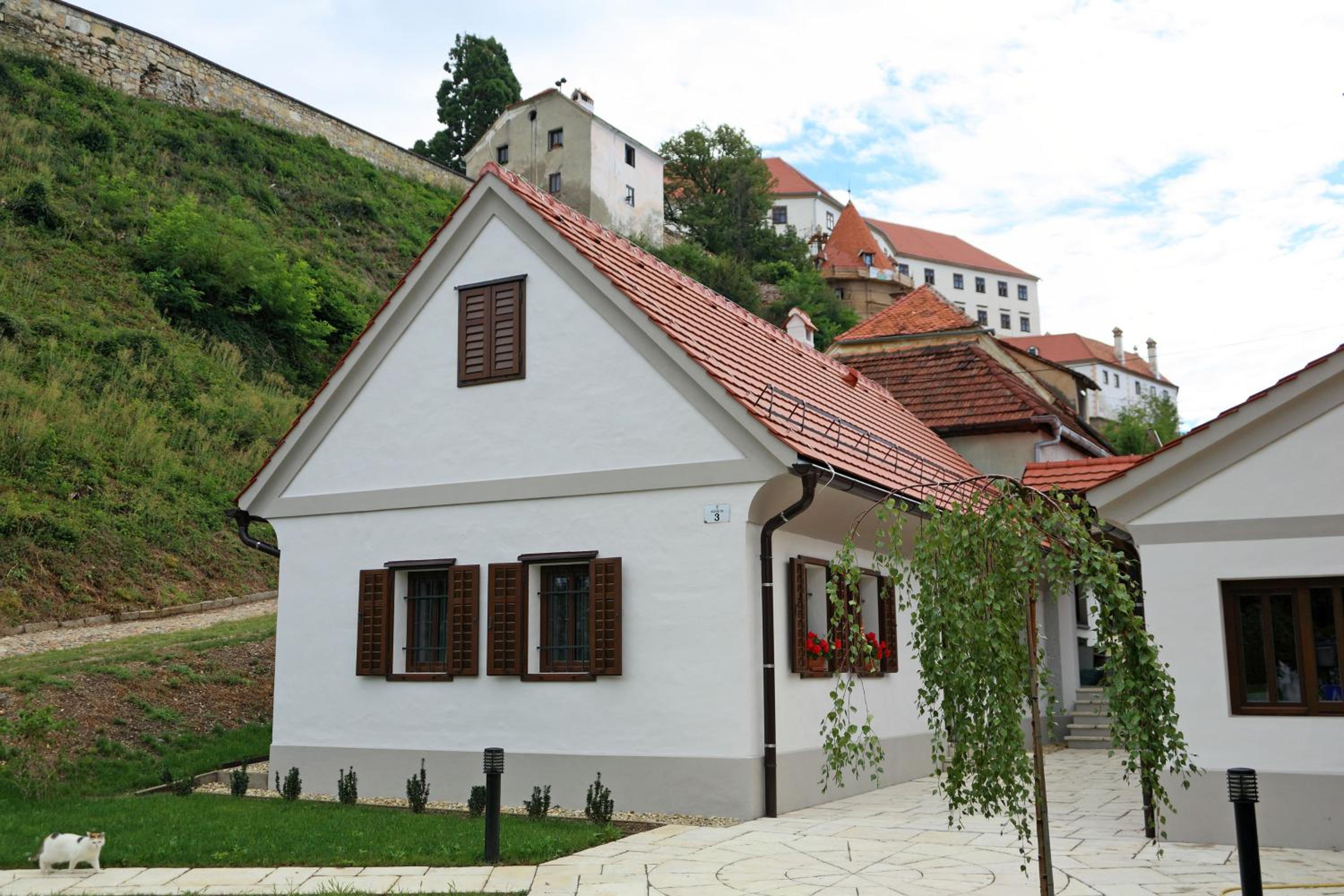 Photo 20