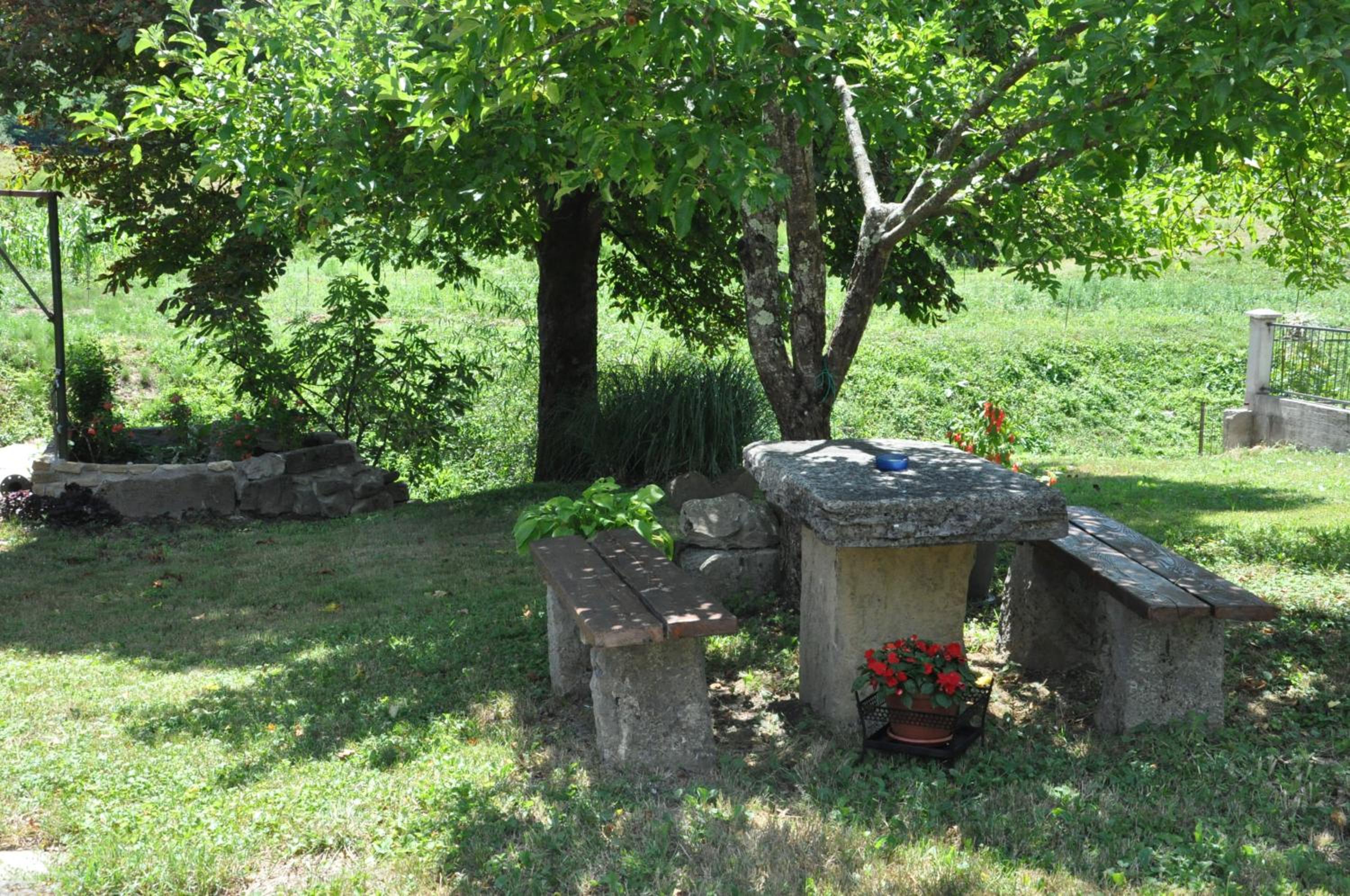 Photo 24