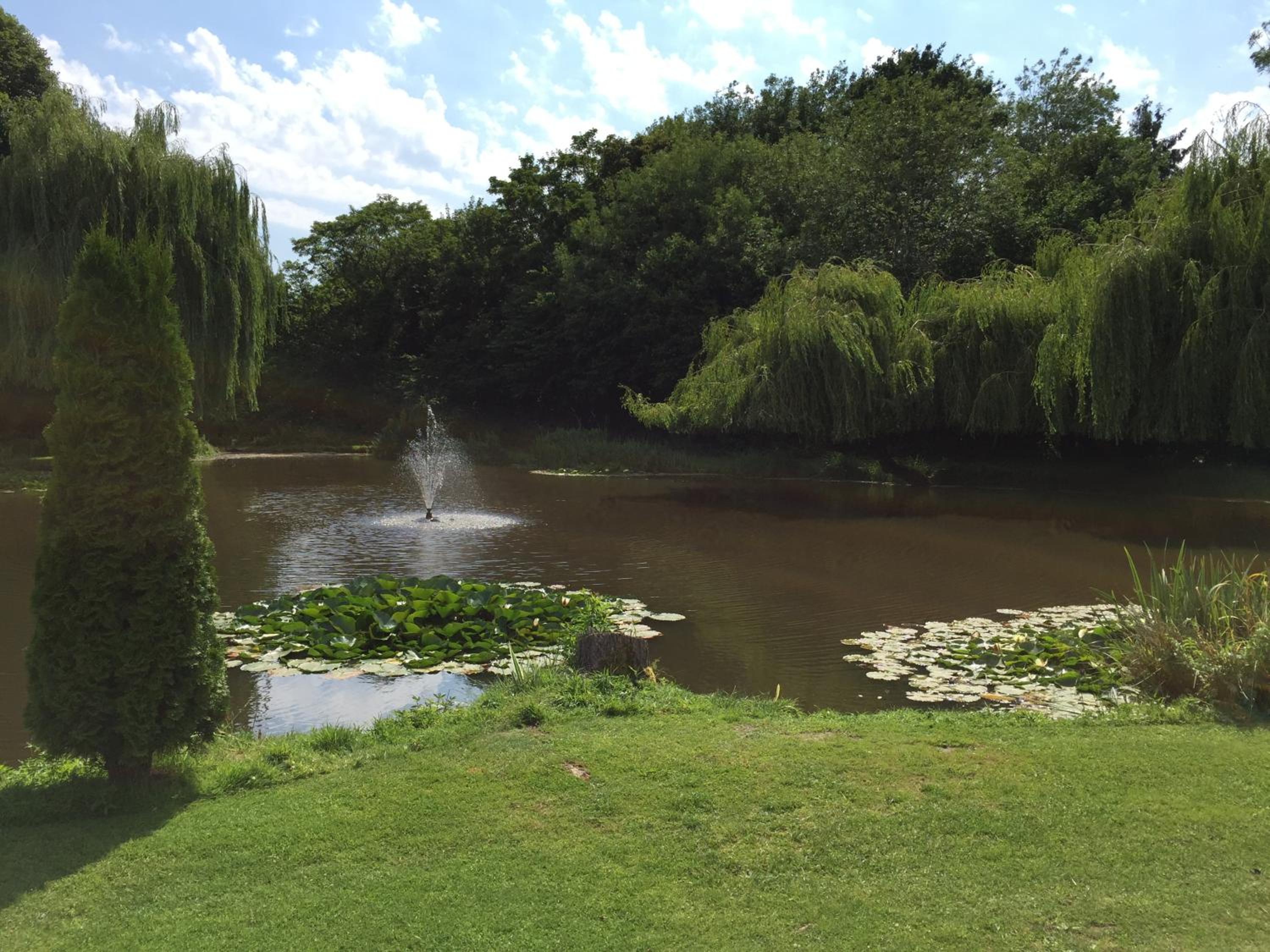 Photo 47