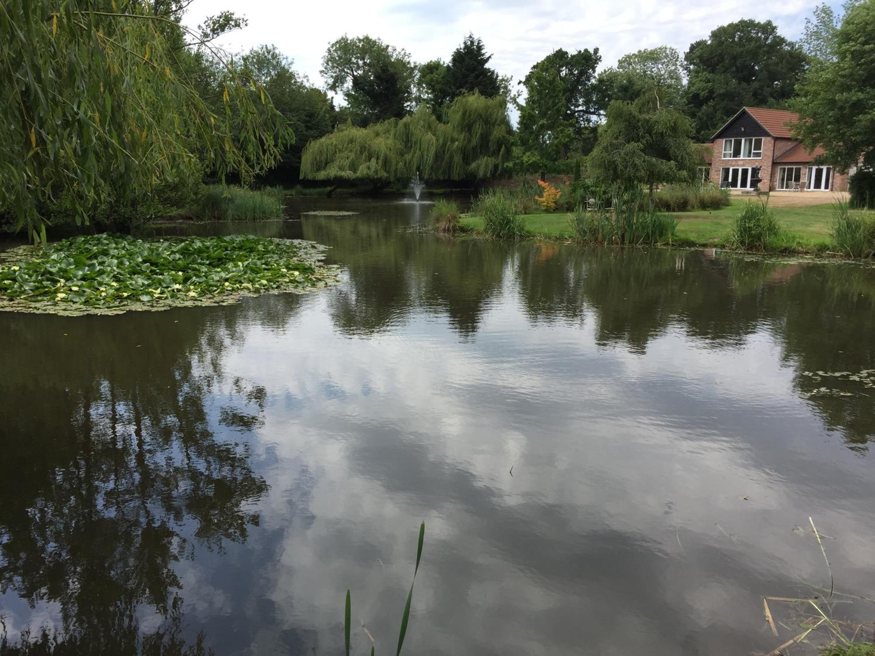Photo 48