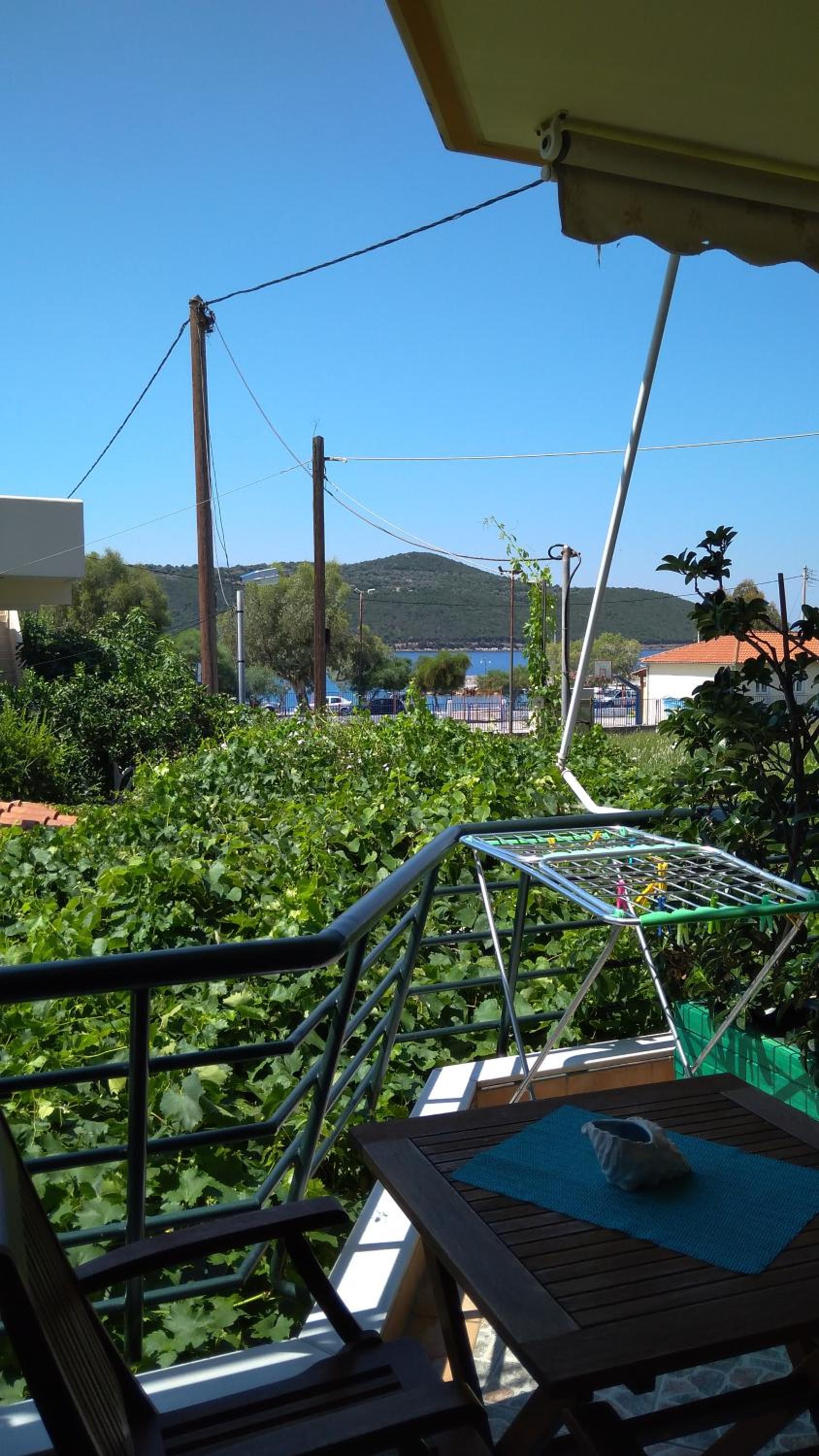 Photo 41
