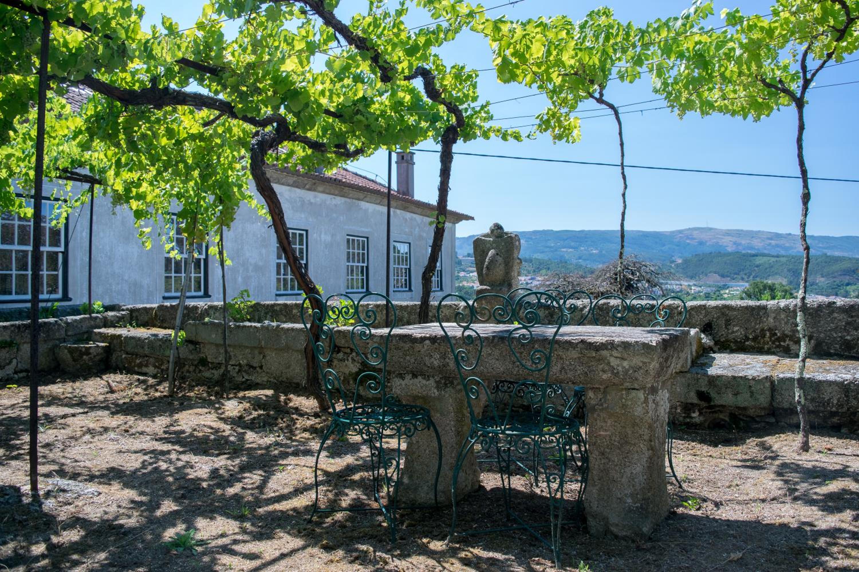 Casa de Pascoaes Historical House view 5