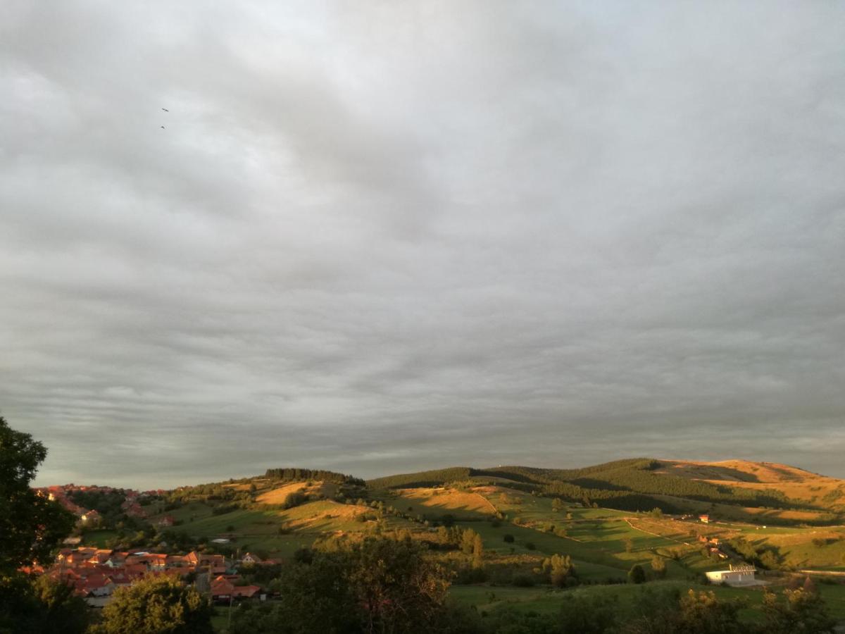 Photo 29
