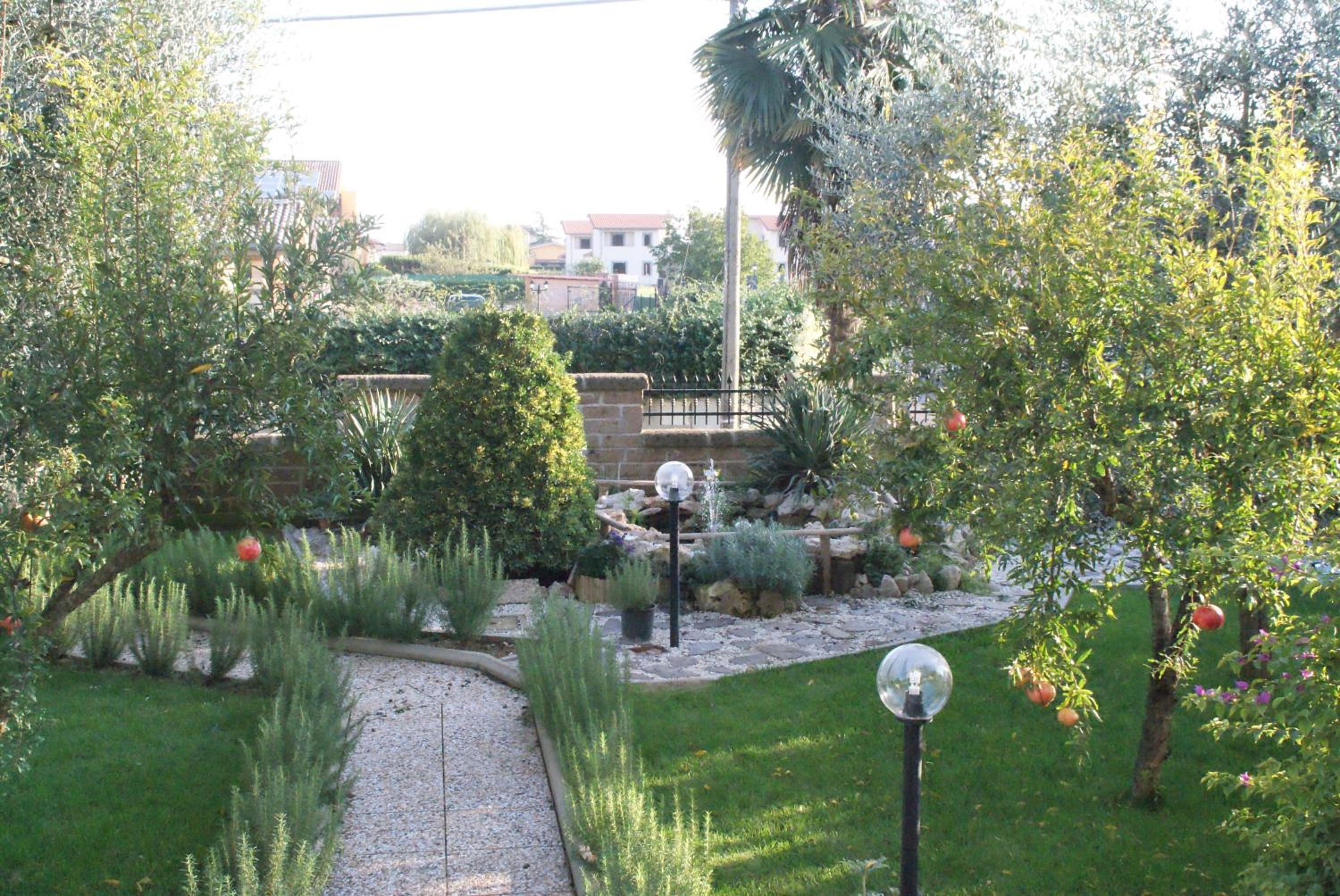 Bed&Breakfast degli ulivi view 2