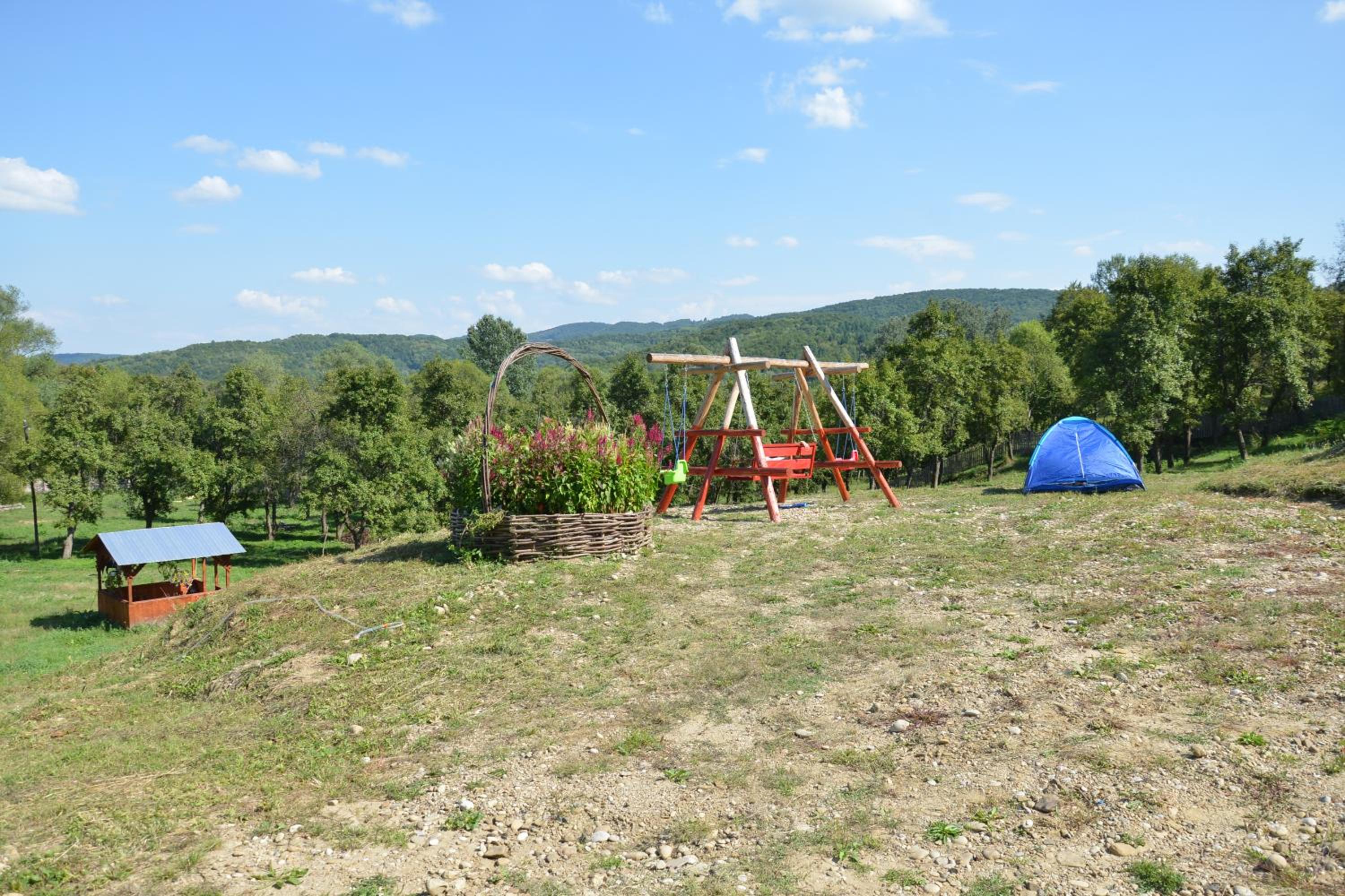 Photo 6