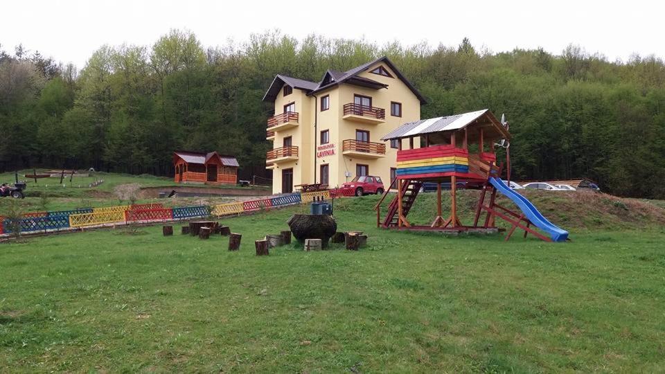 Pensiunea Lavinia view 2