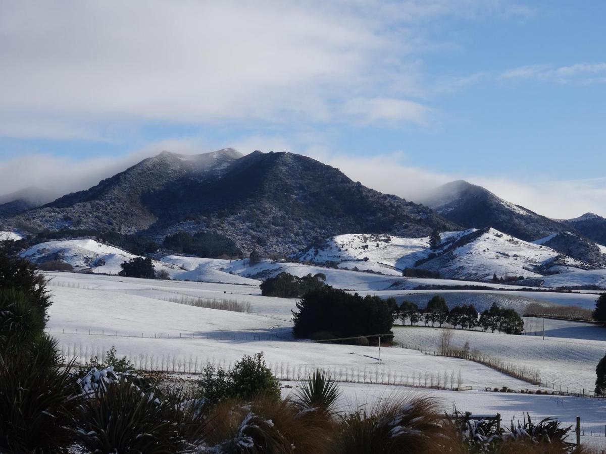 Hokonui Bed & Breakfast view 5