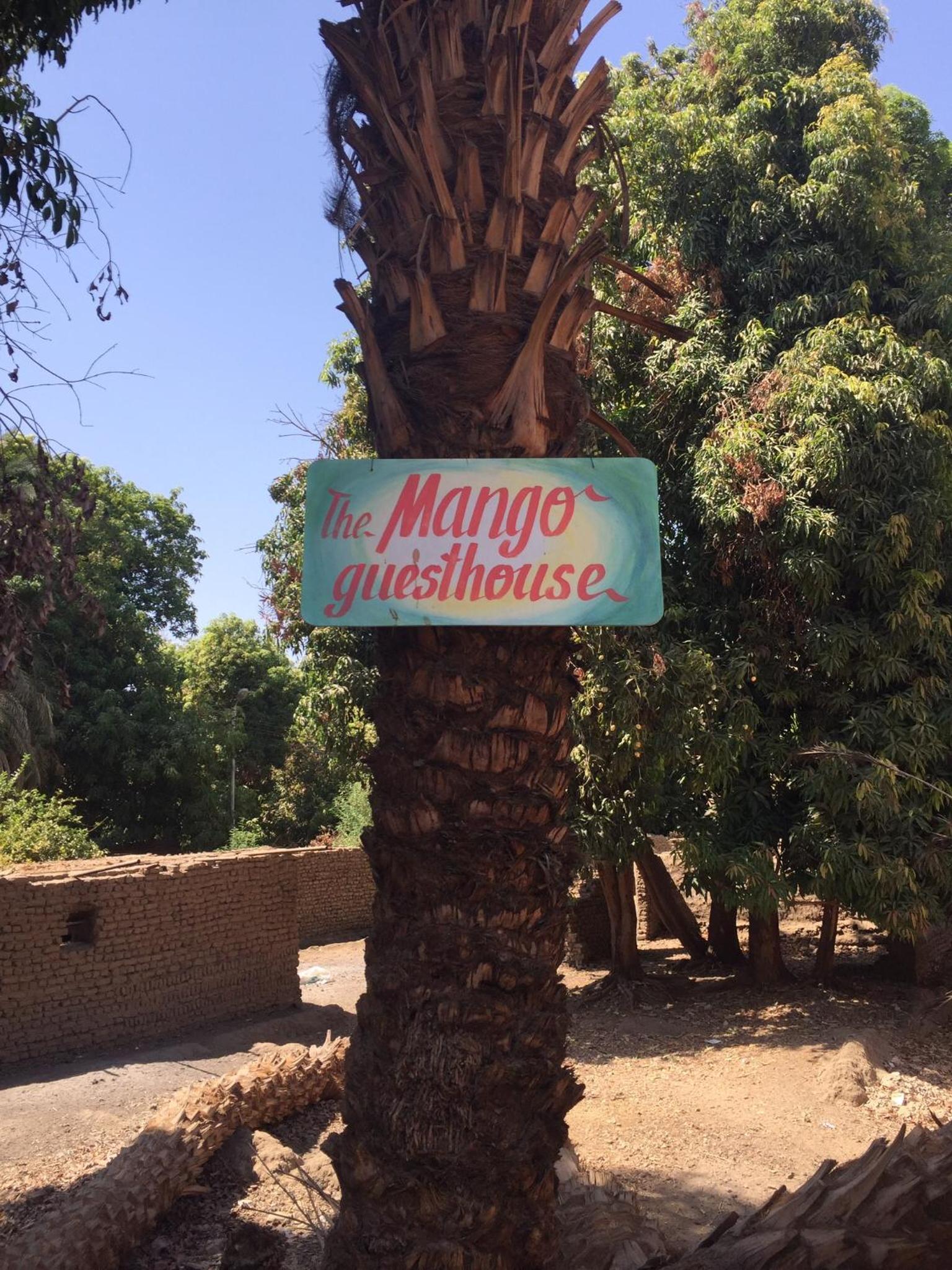 The Mango Guest House — photo 11