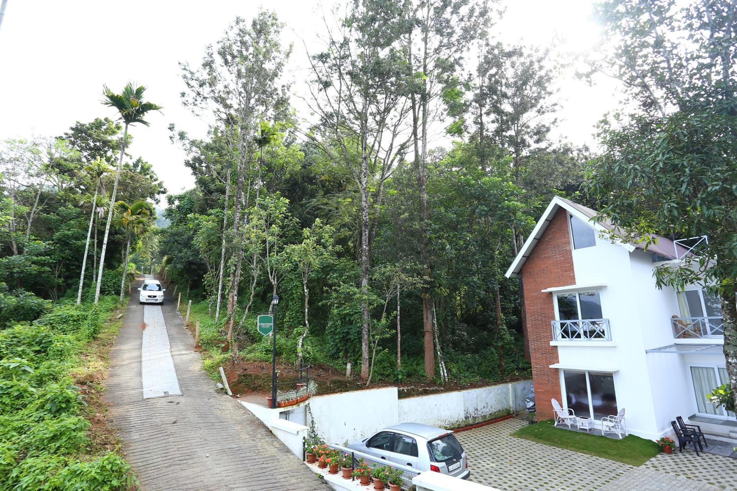 Photo 7
