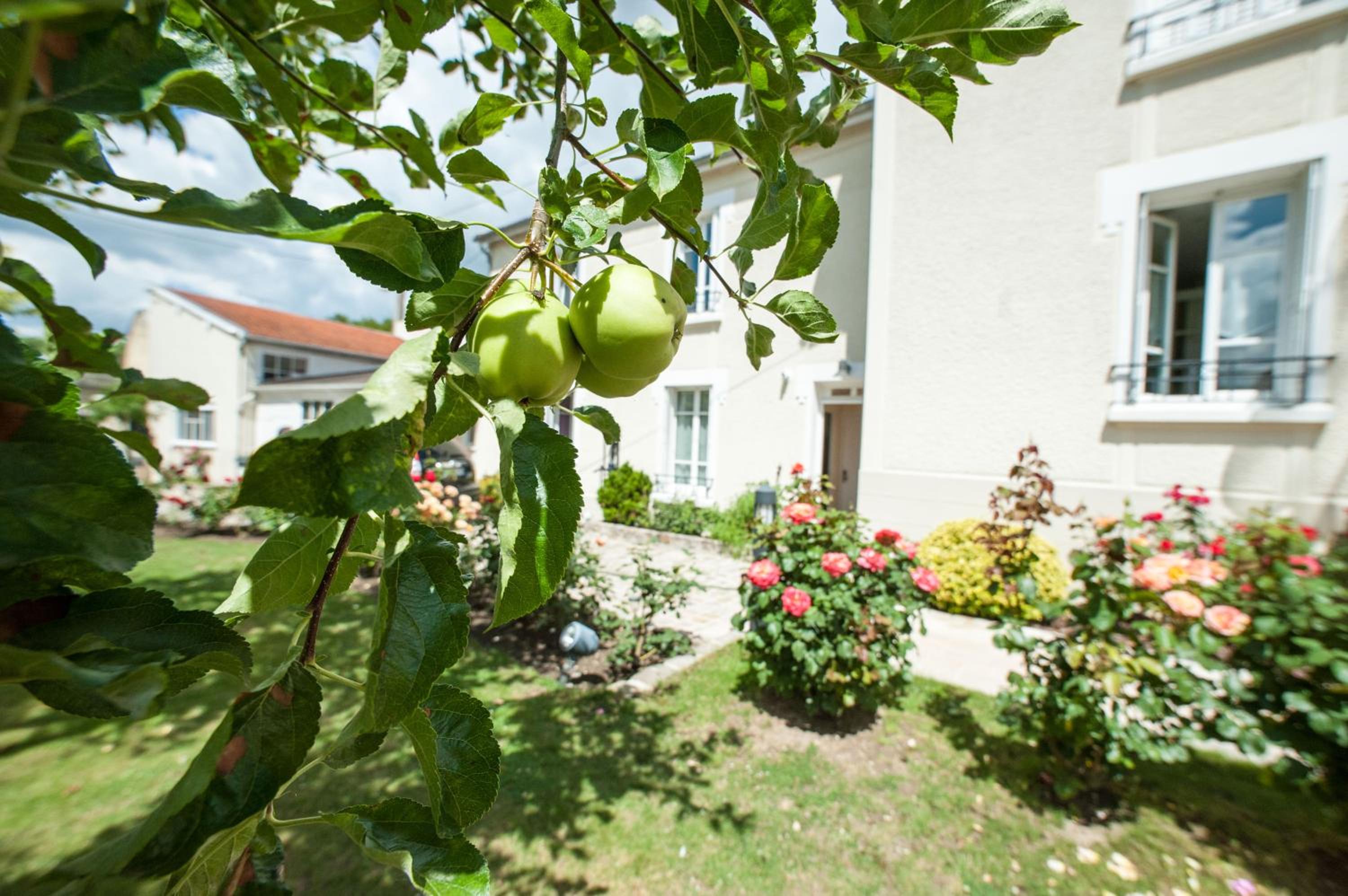 Chez Camille, photo 27
