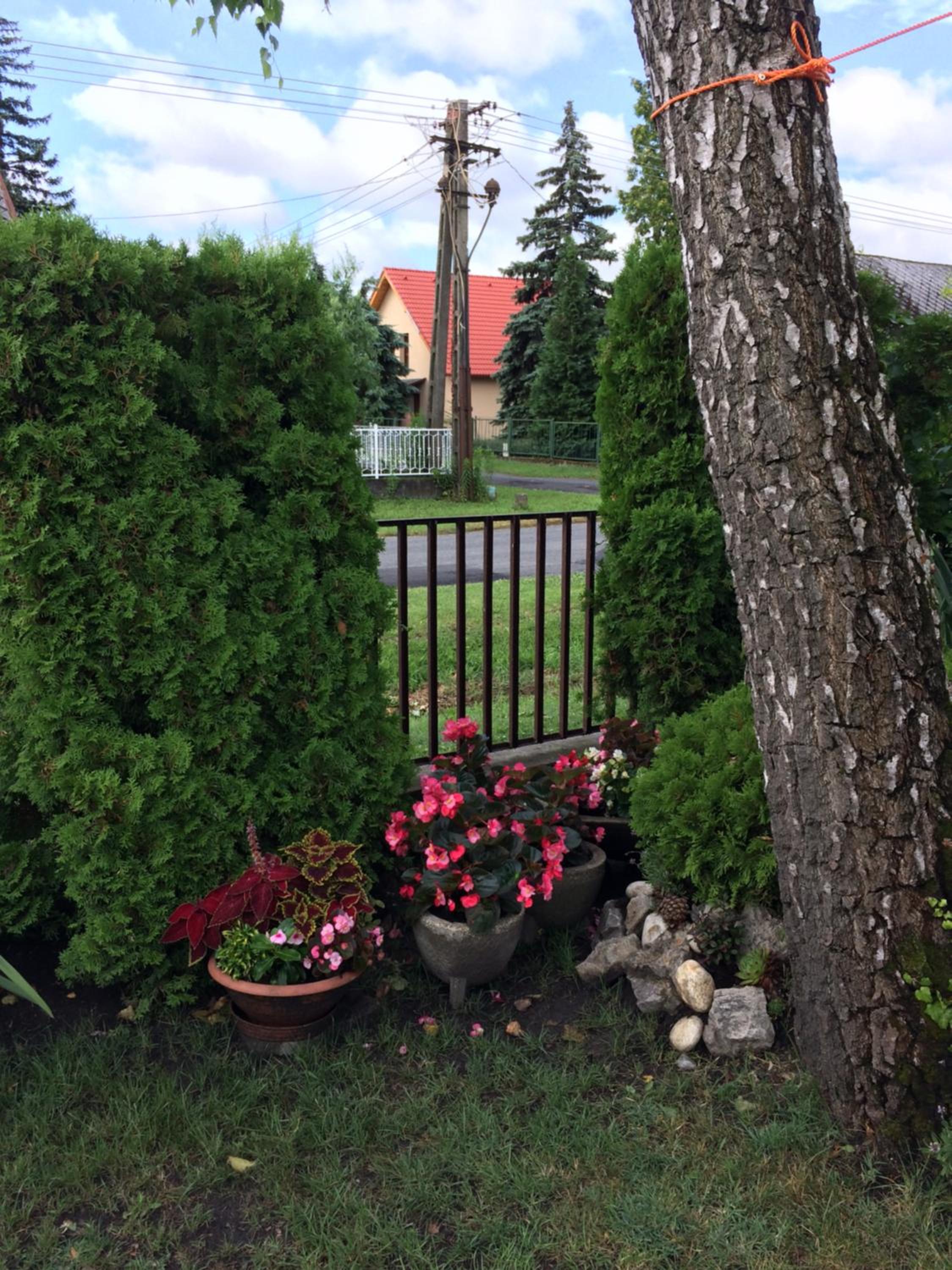 Photo 10