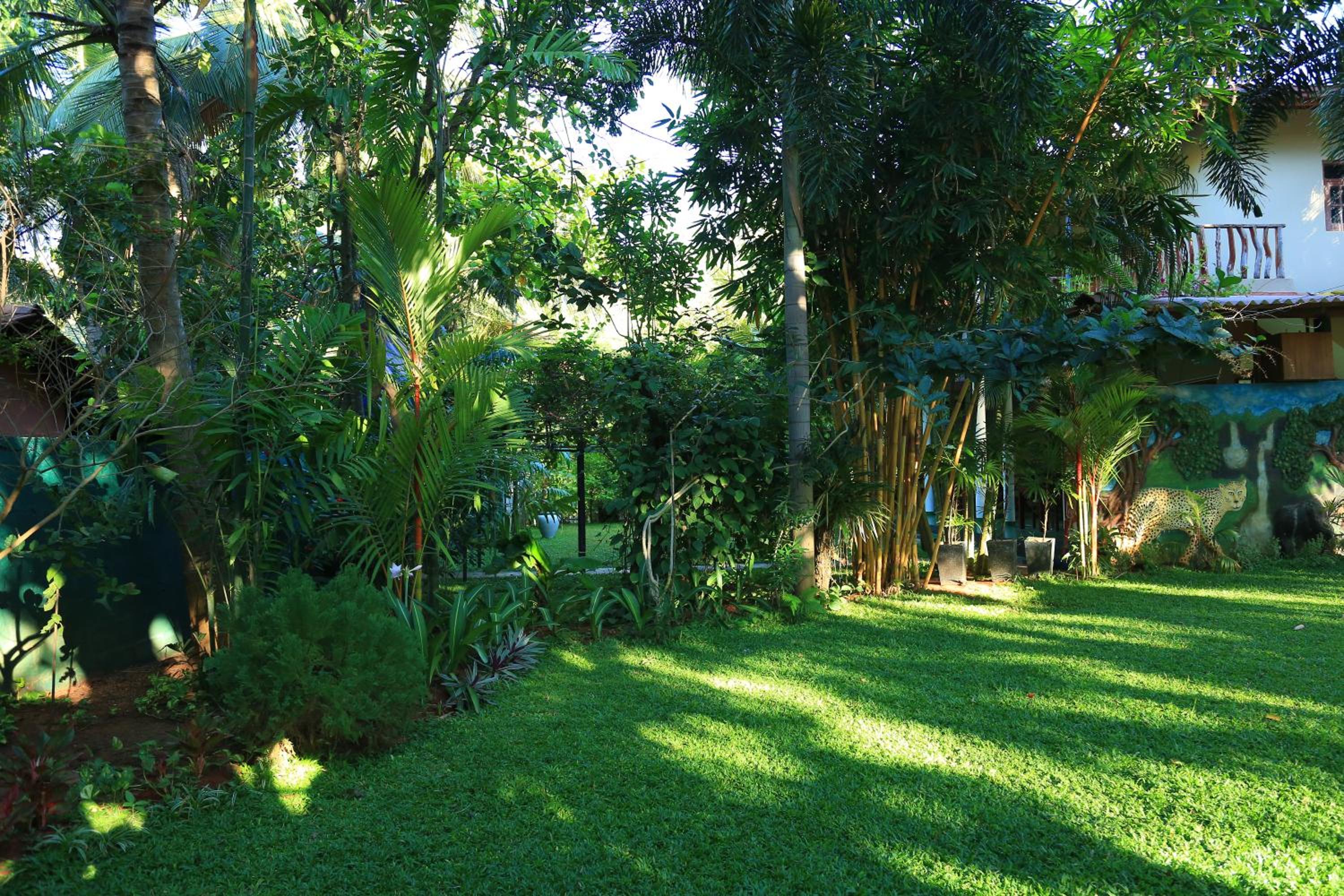 Yala River Face Inn