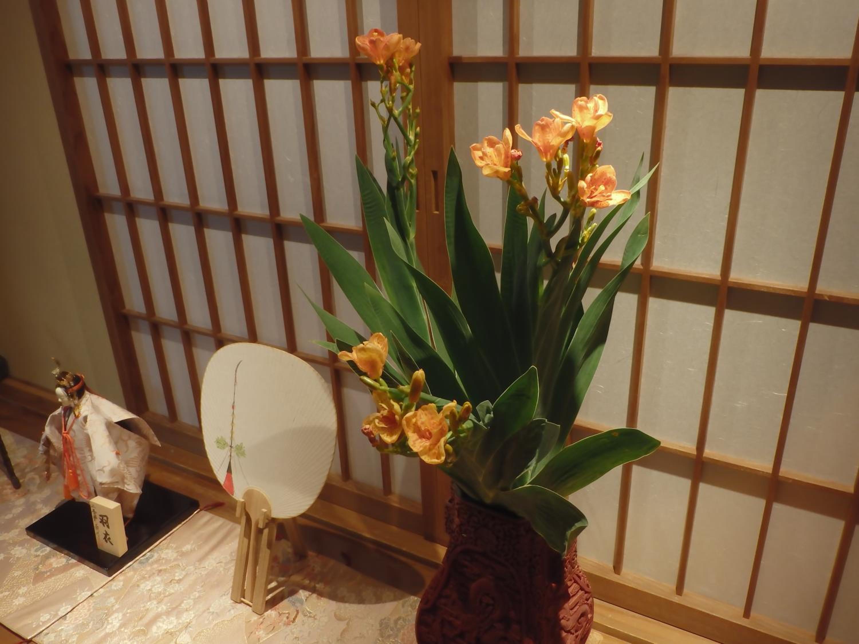 Kamuroan