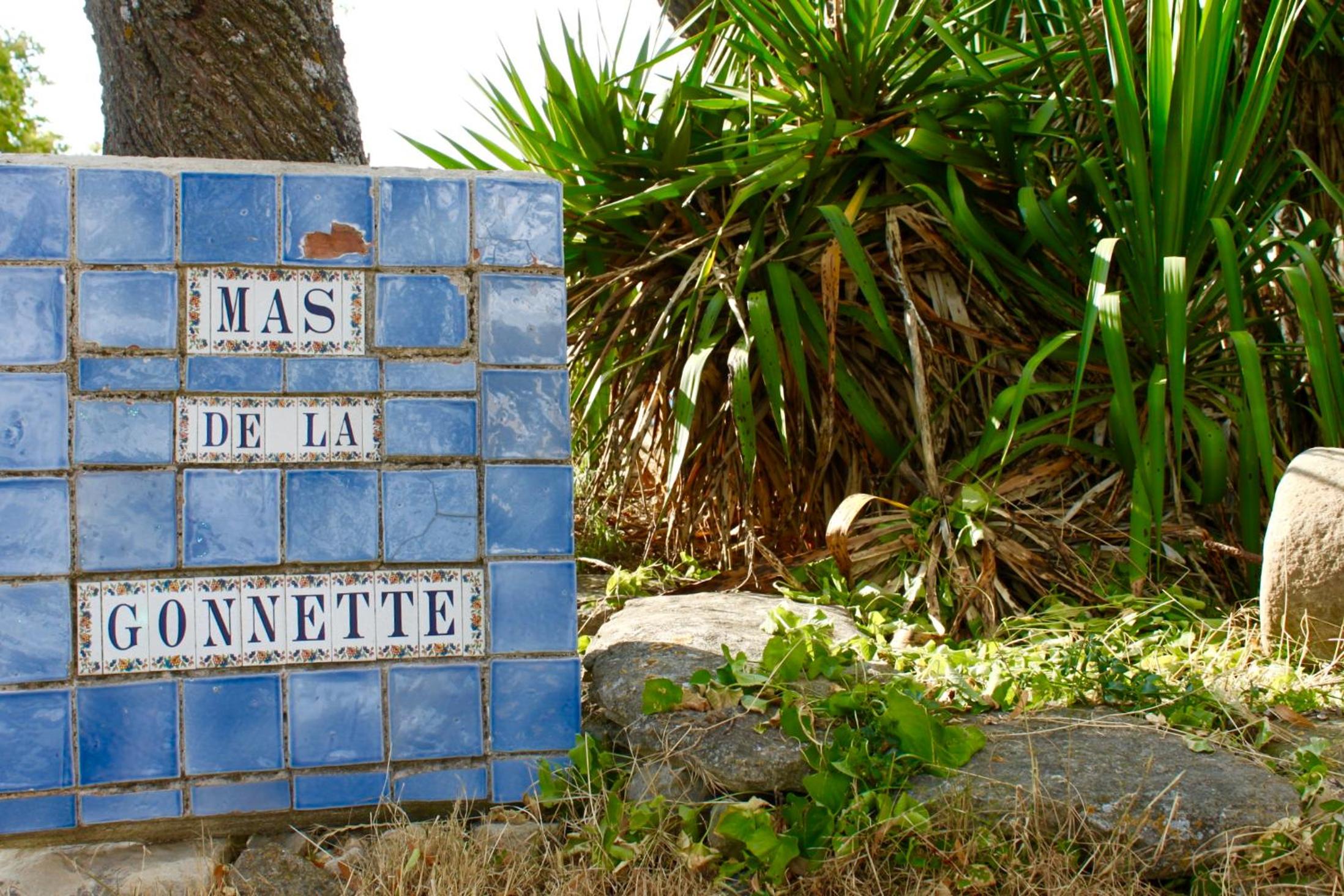 Mas de la Gonnette view 3