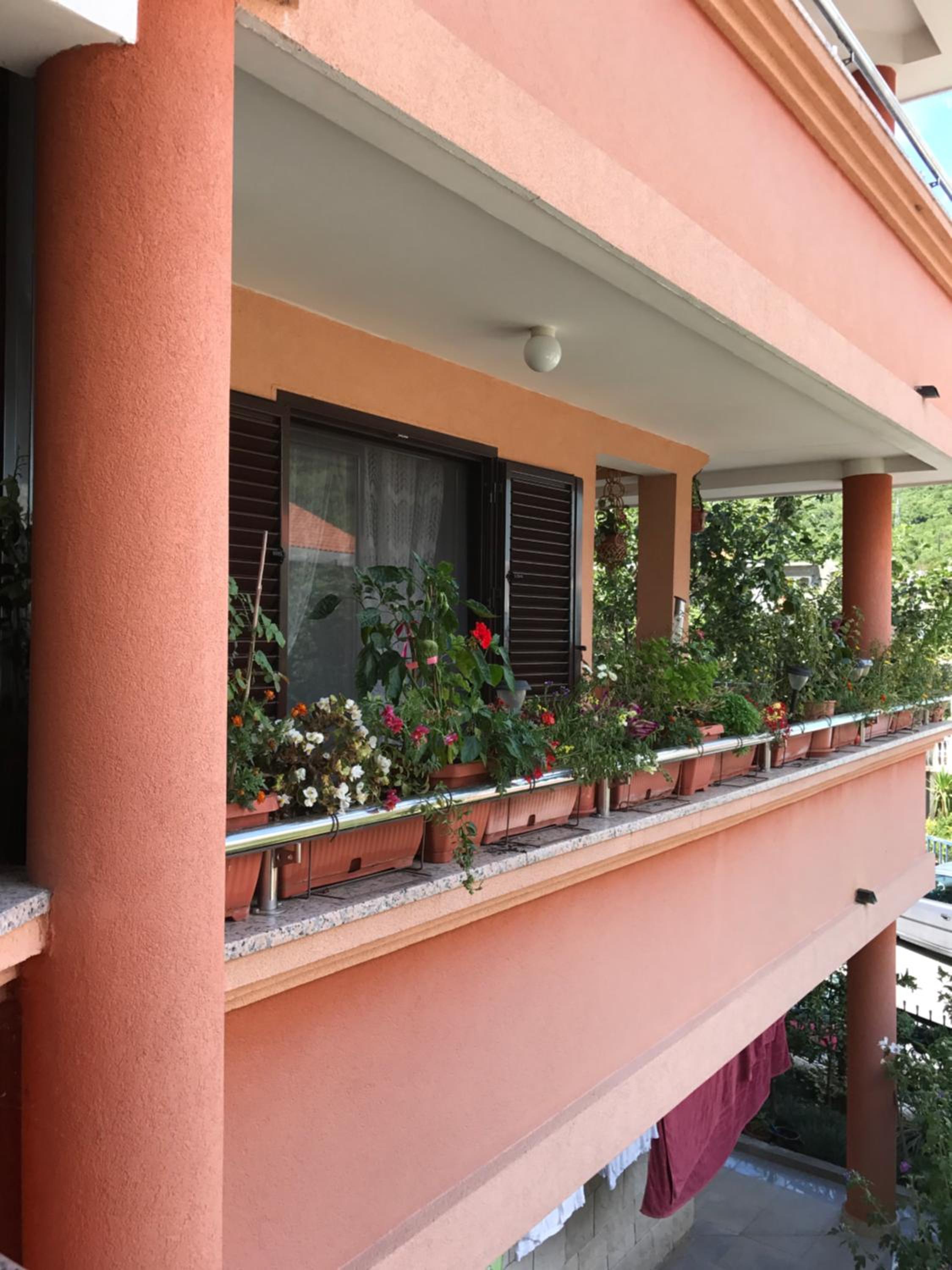 Apartments Zvicer - Milica