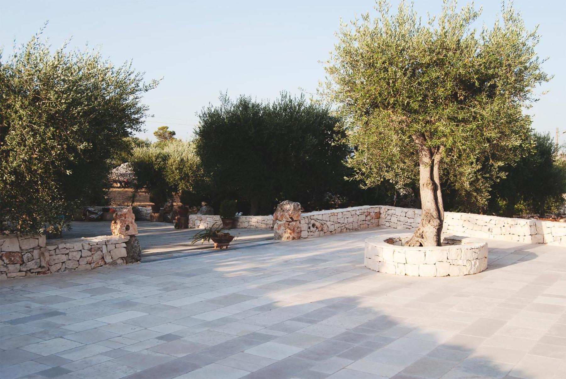 Trulli a Sud-Est photo 3