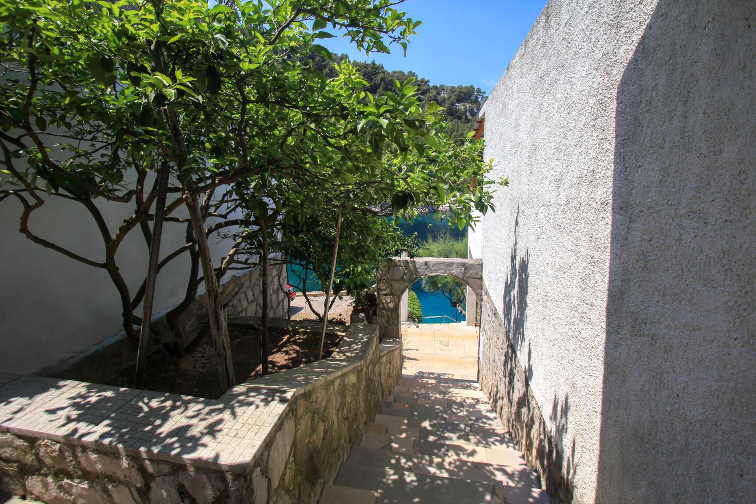 Photo 47