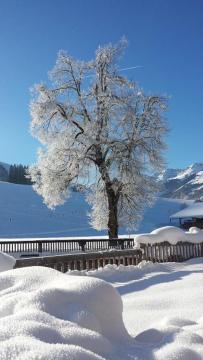 Hotel Sonnenlicht Maria Alm