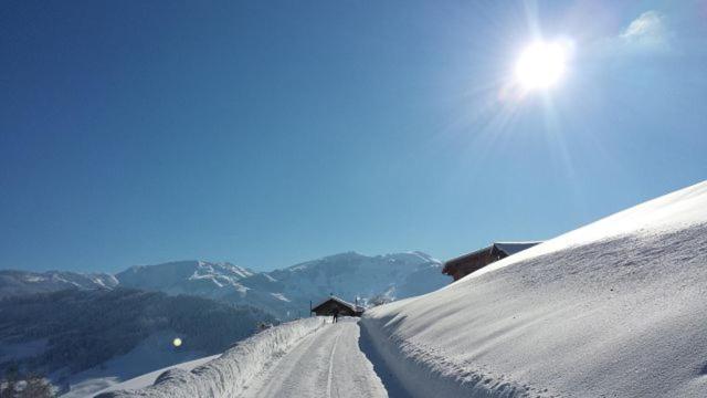Hotel Sonnenlicht Maria Alm
