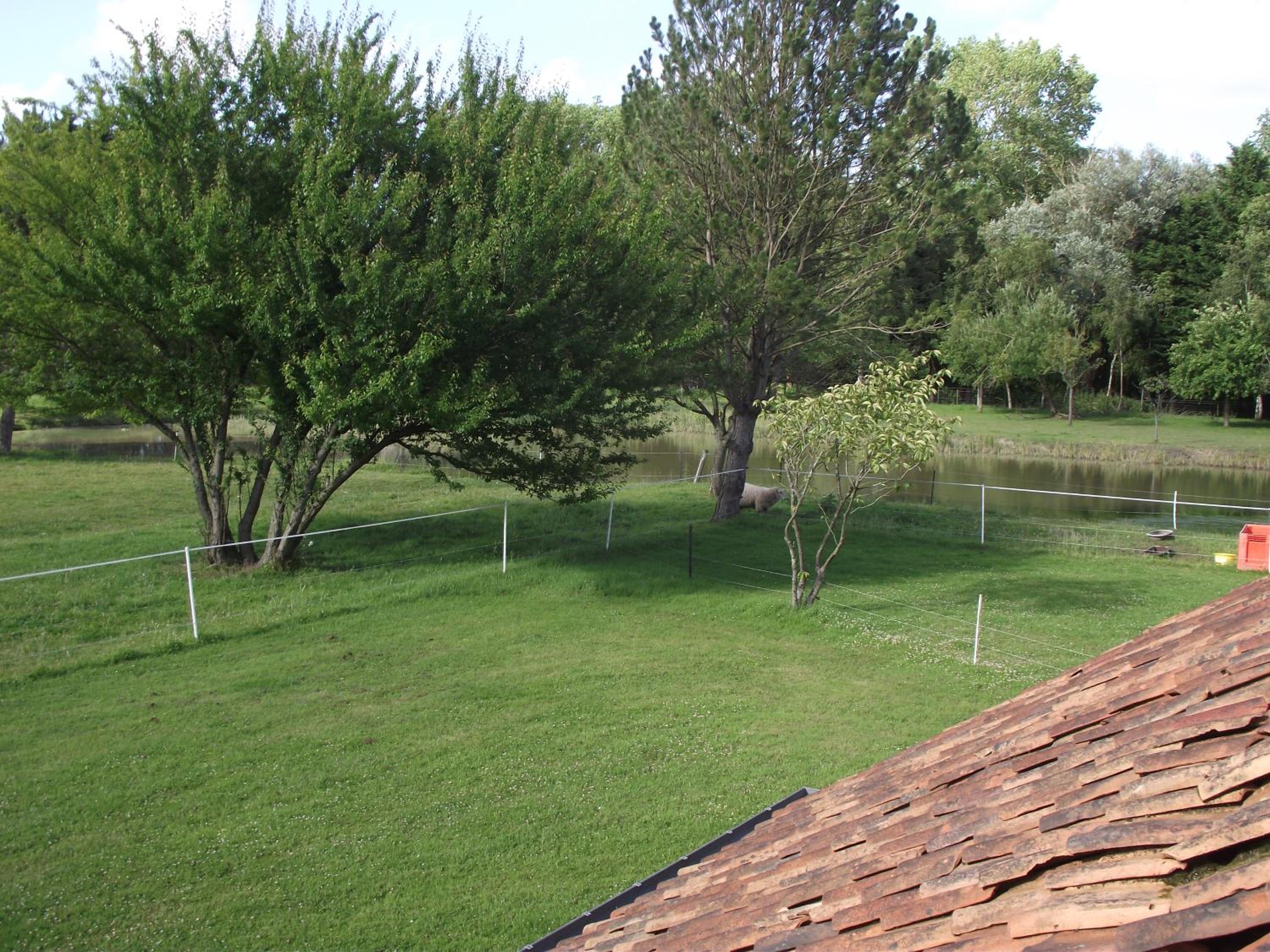 Photo 41