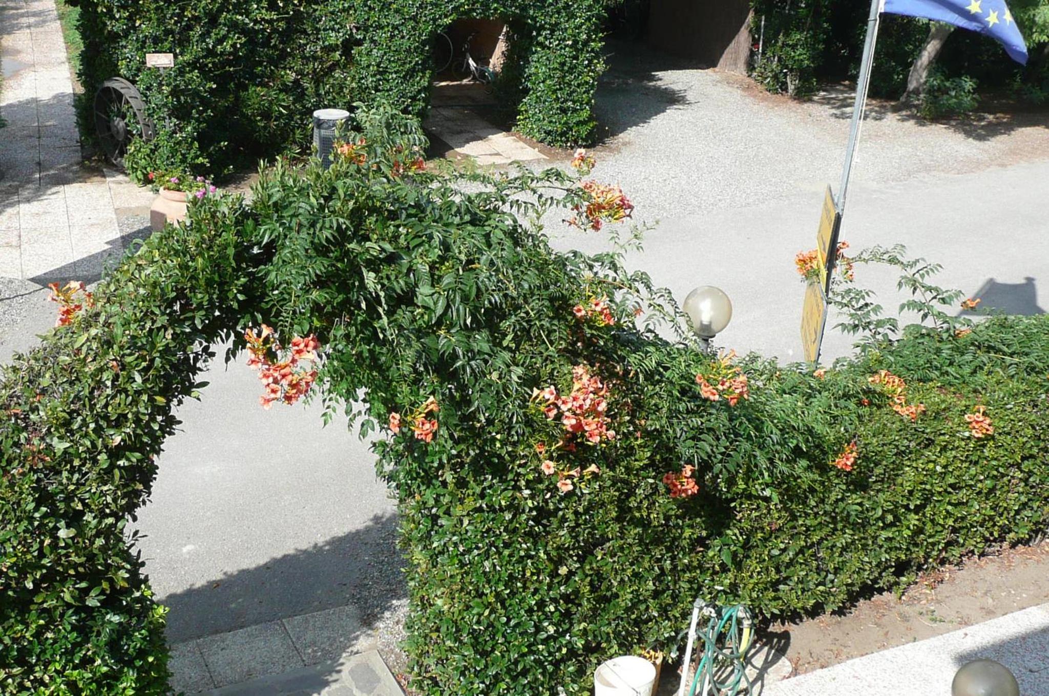 Photo 30