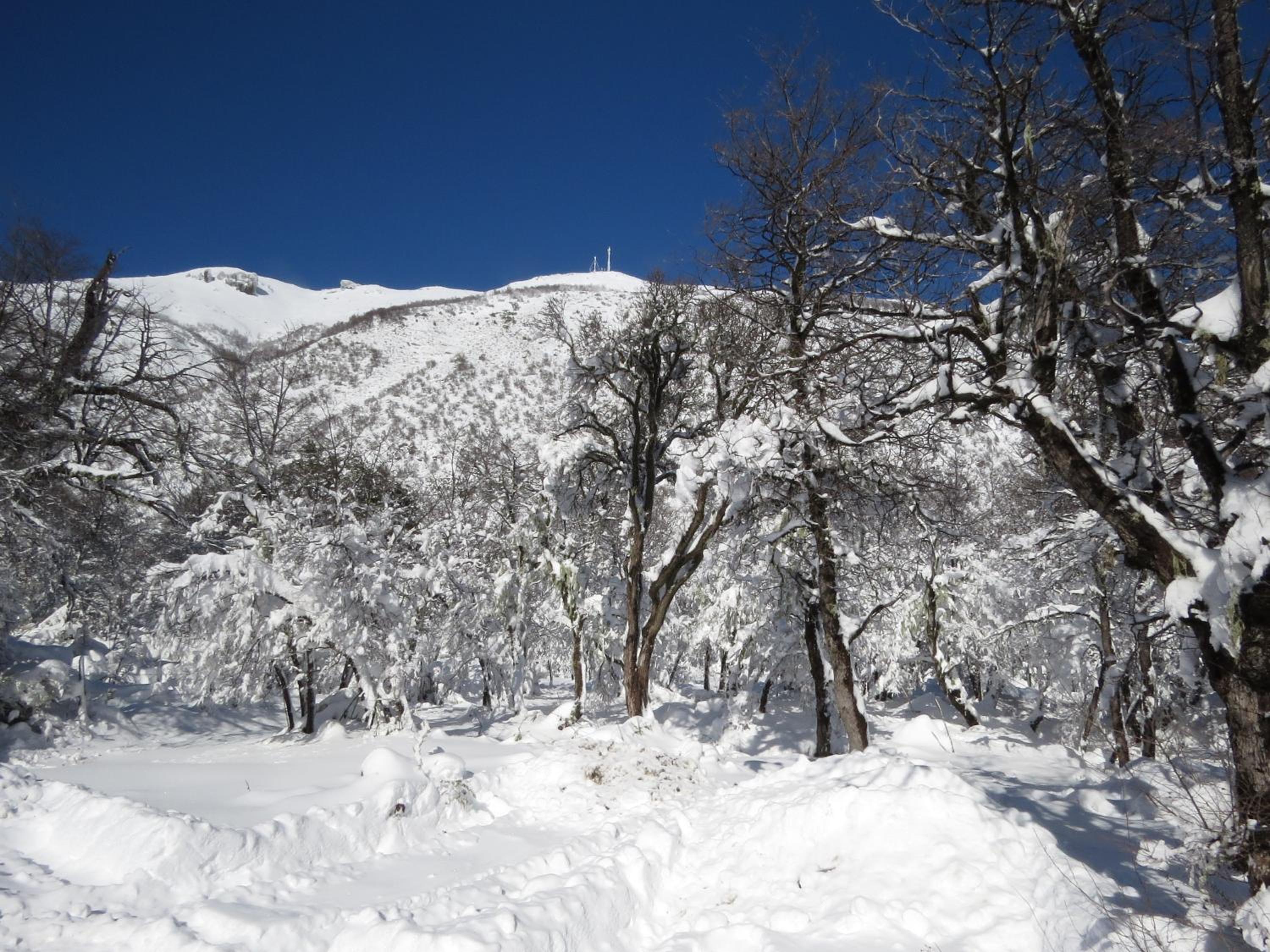 Photo 43